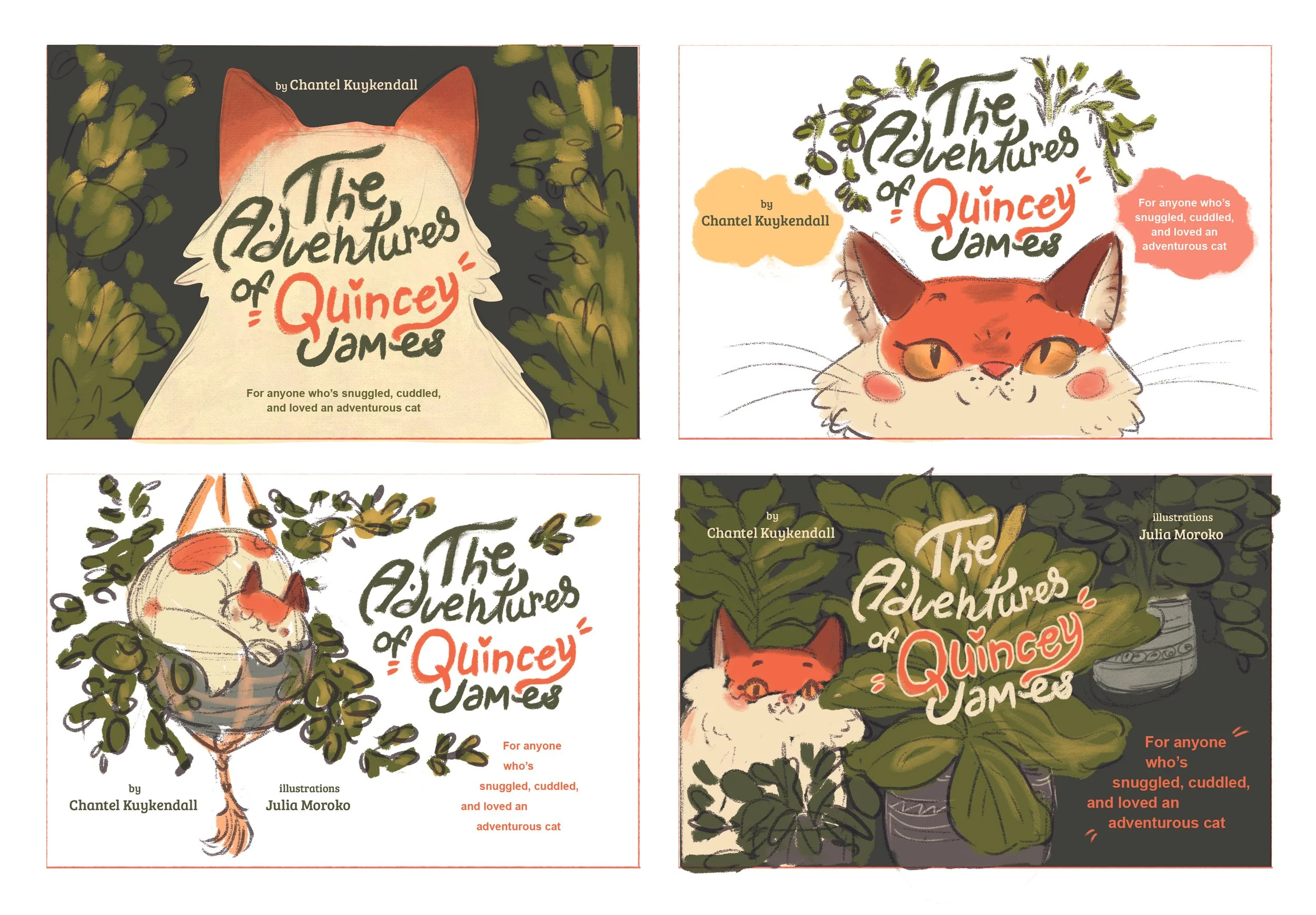 Quincey the Cat_Cover front_sk.jpg