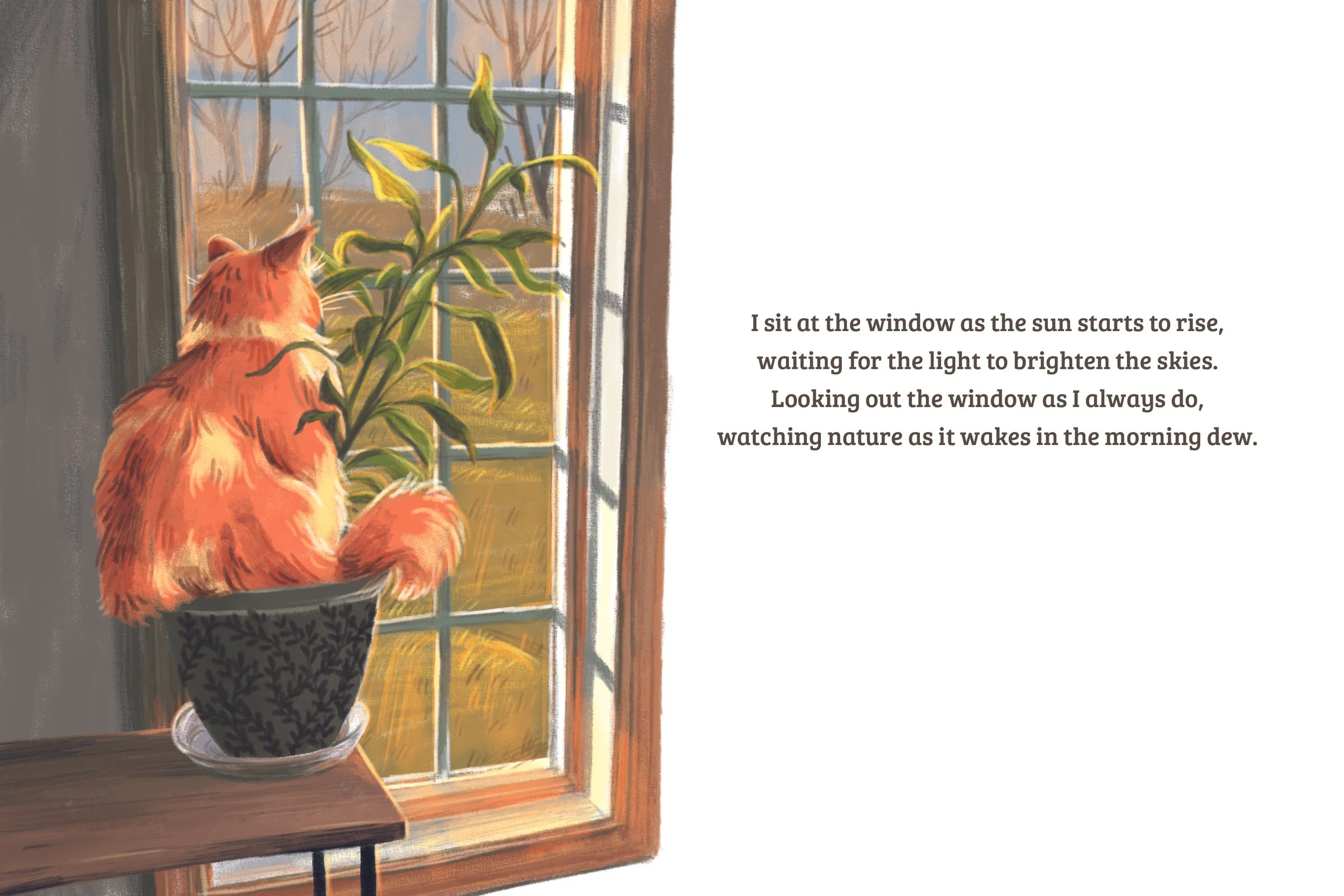 Quincey the Cat_test.jpg