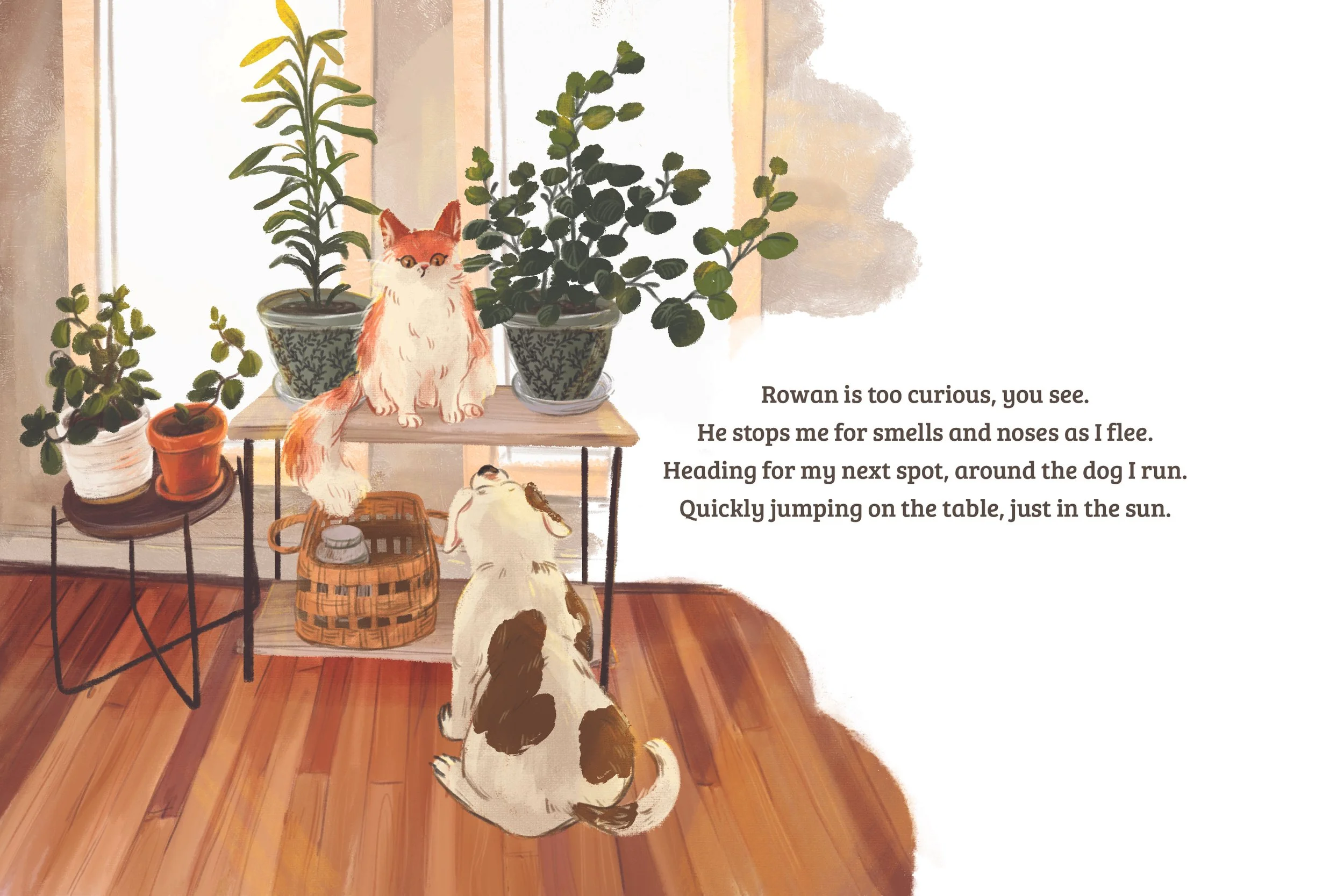 Quincey the Cat_22-23.jpg