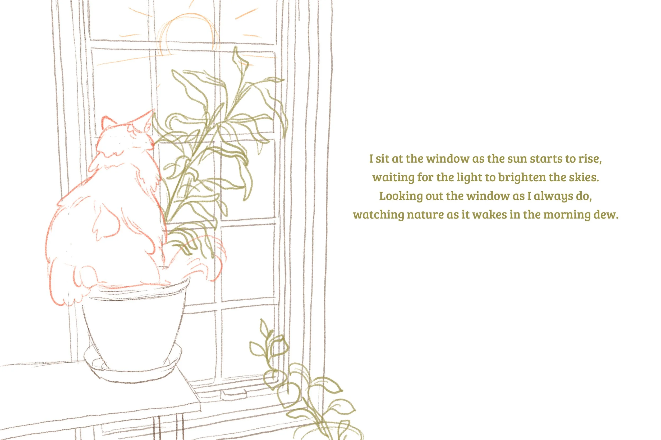 Quincey the Cat_test_sketch.jpg
