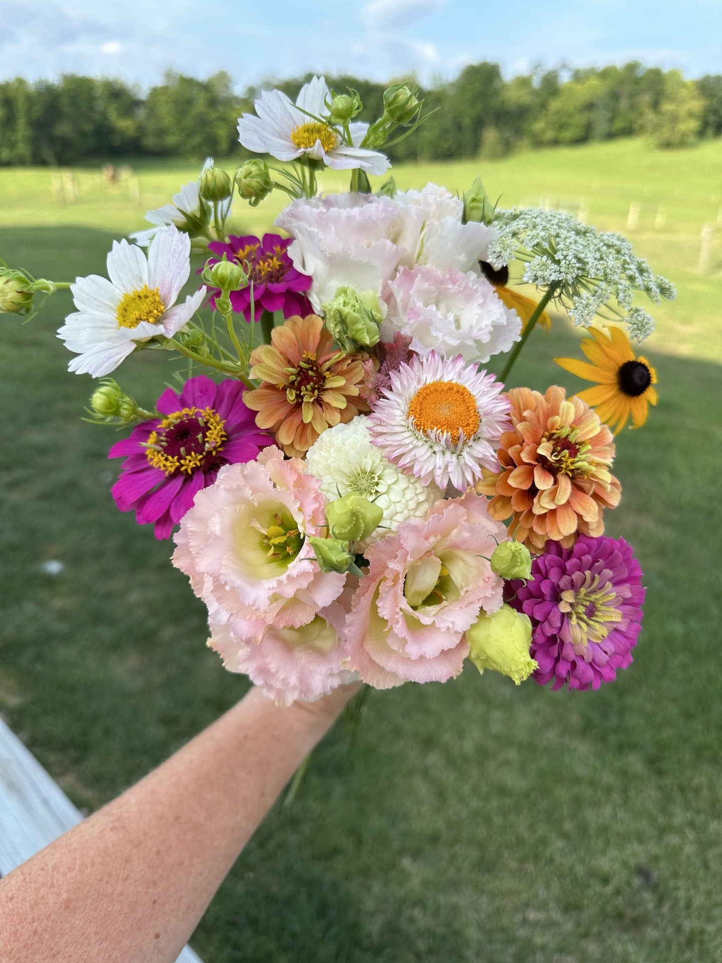 bouquet summer cosmos.jpeg
