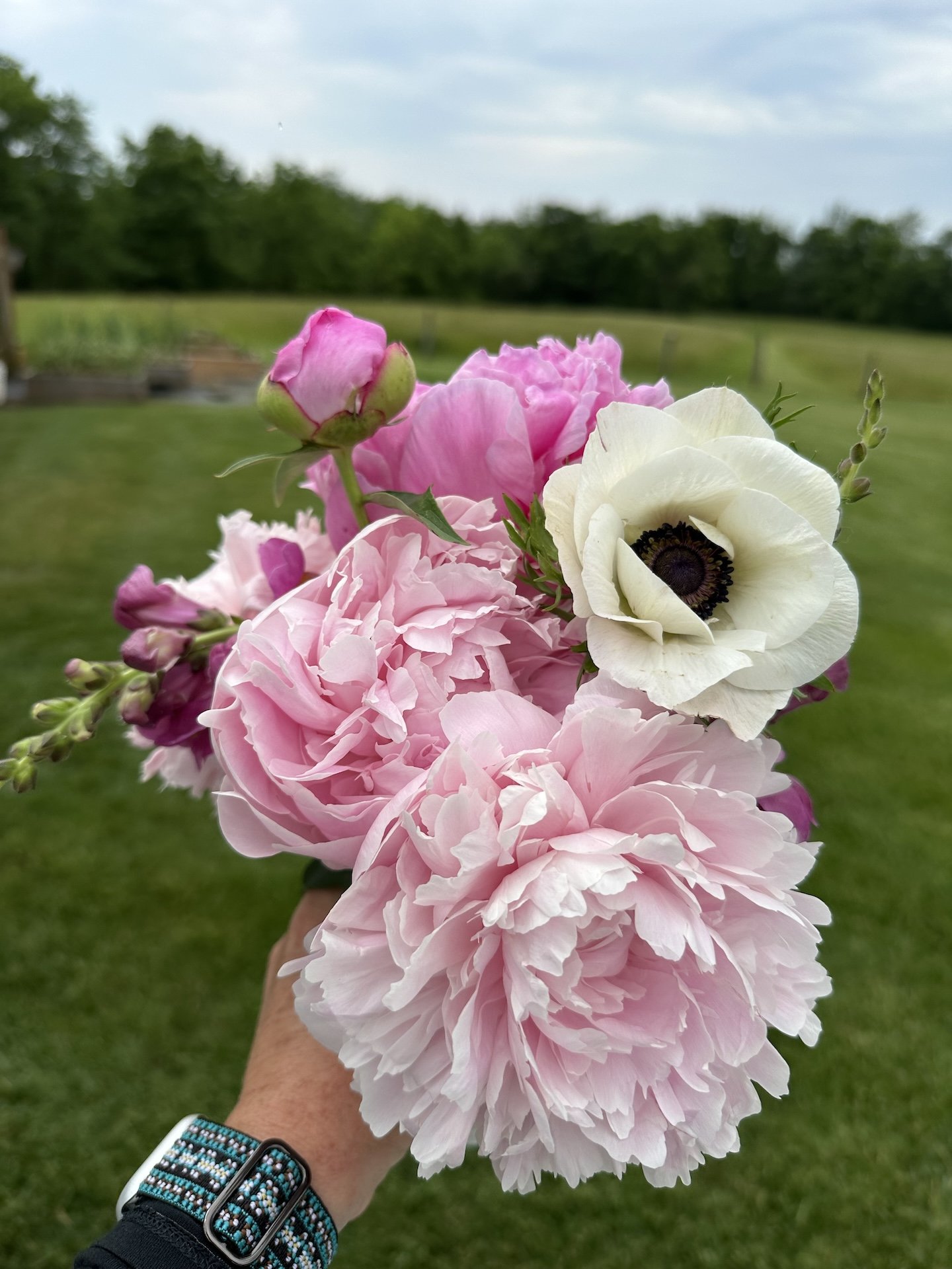 bouquet peonies pint.jpeg