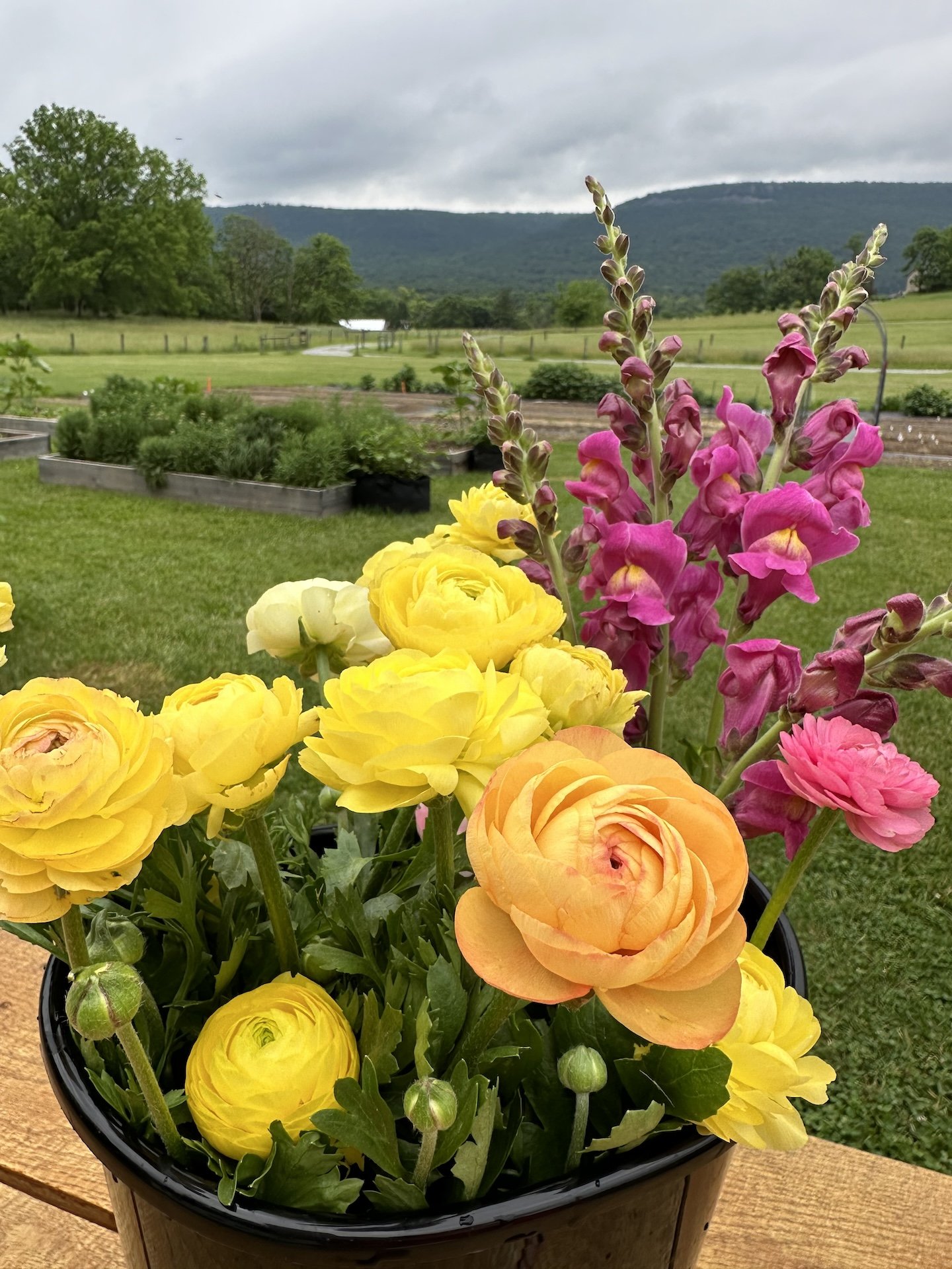 party bucket spring yellows.jpeg