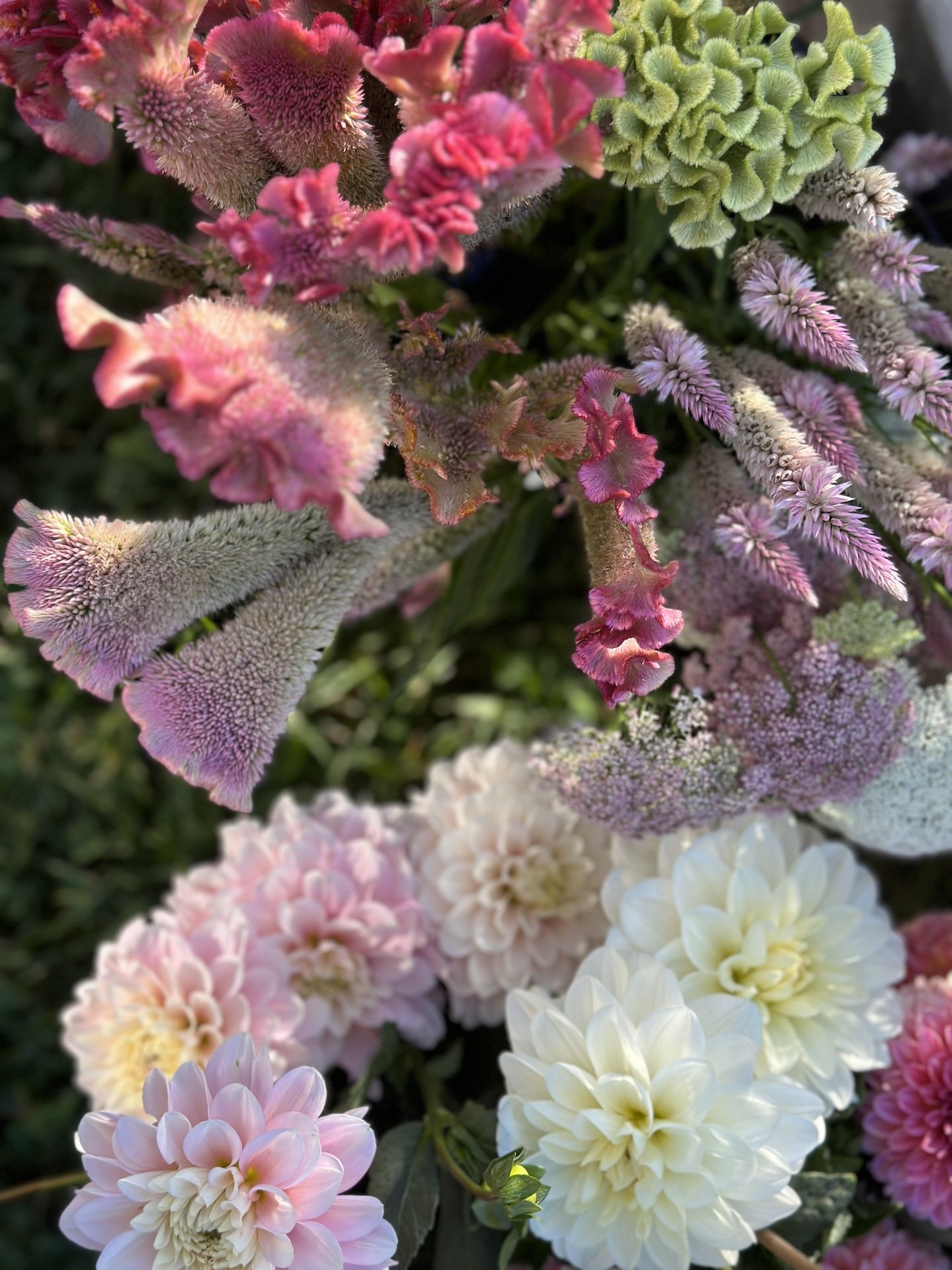 summer flowers close up.jpeg