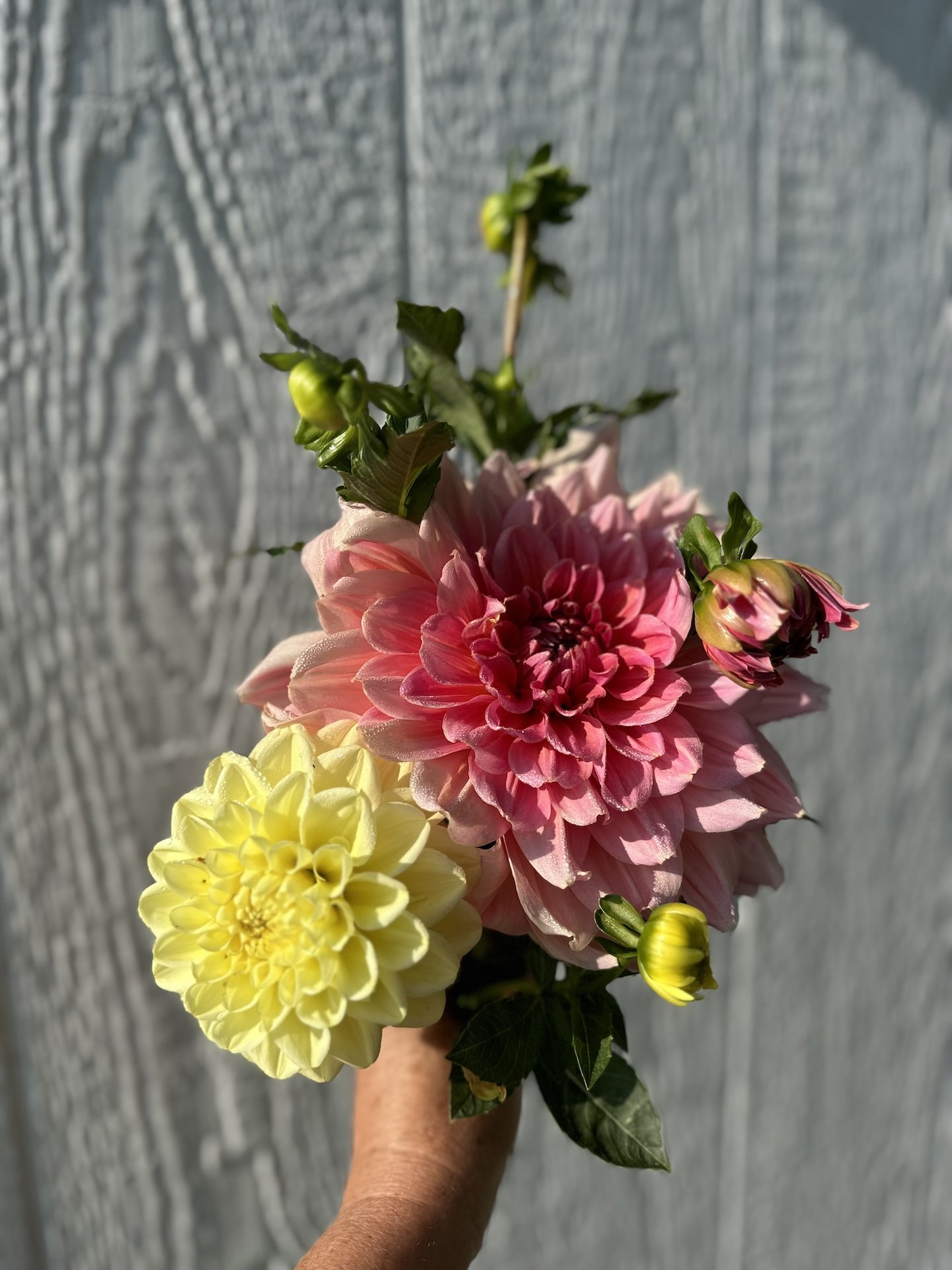 pint sized summer bouquet.jpeg