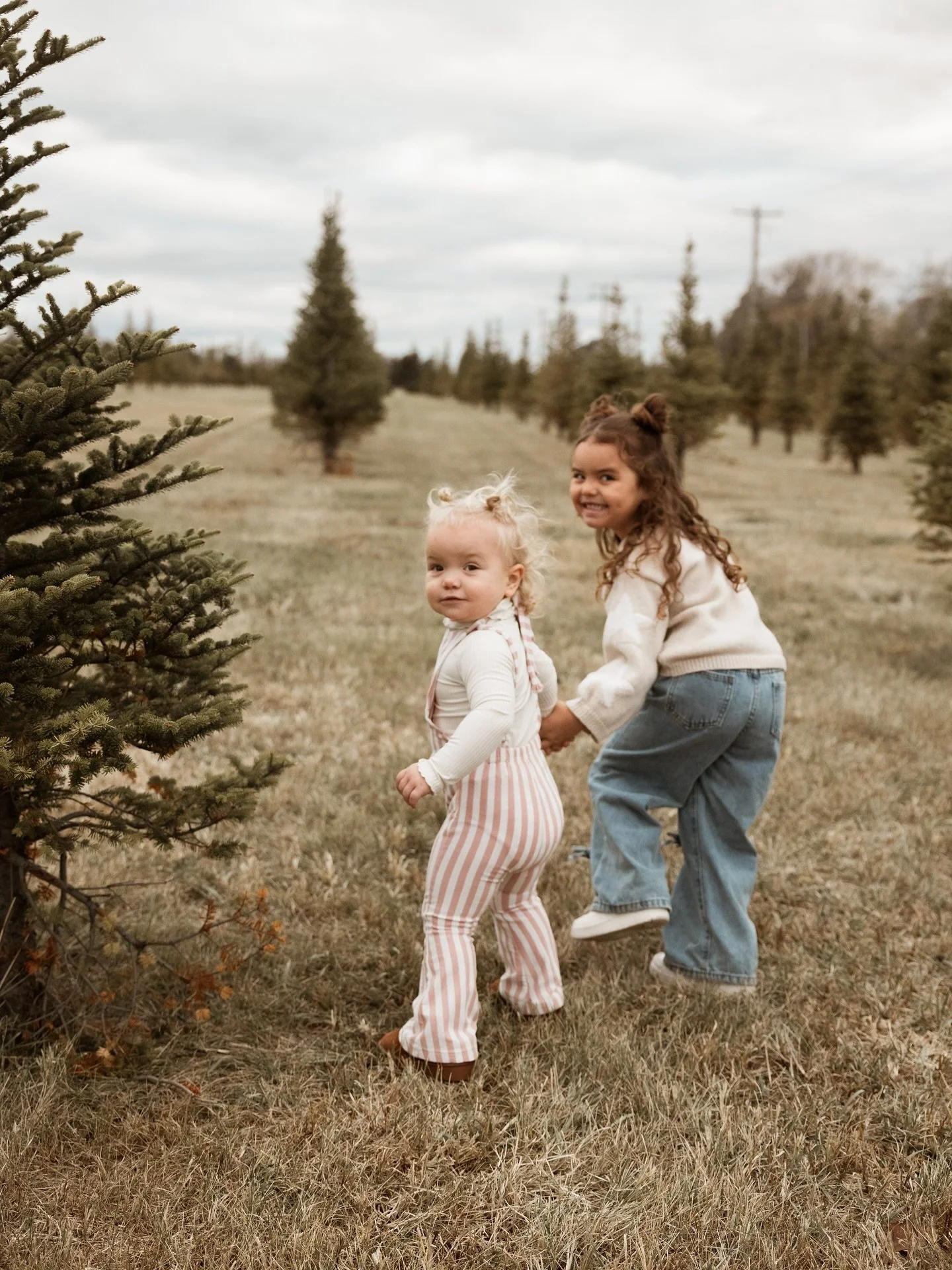 Yep, it&rsquo;s that time! Christmas tree farm family minis. Check my story for available times! 🌲