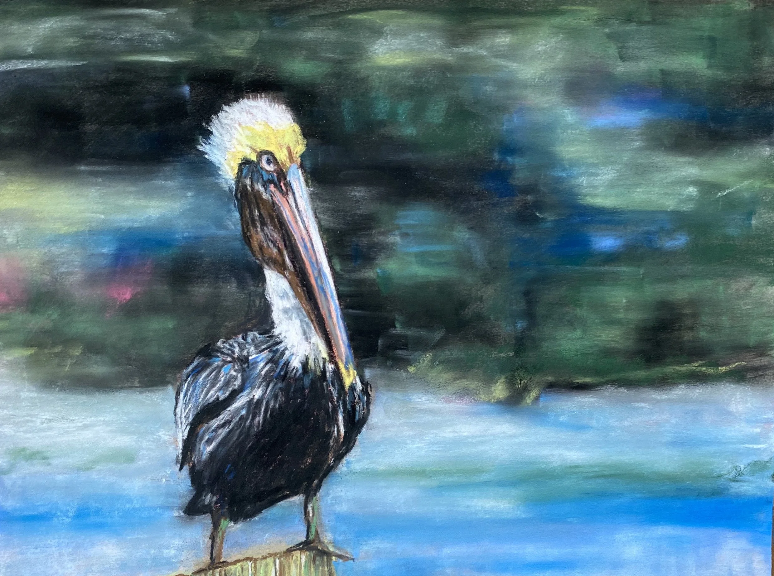 pelican_pastels.jpg