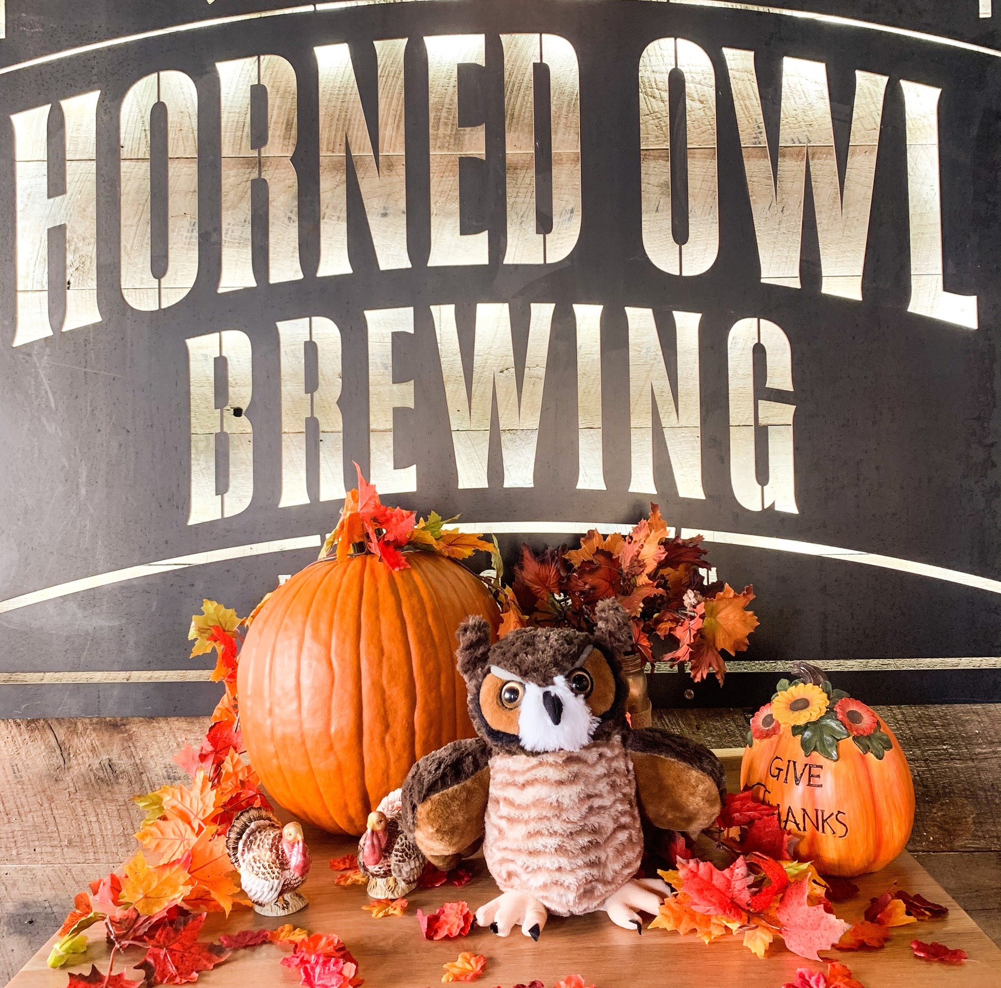 Happy Thanksgiving from the Horned Owl team! Enjoy time with family and friends and hopefully a Horned Owl beer. We'll see you in the taproom tomorrow for football and live music!🦉🍻🍂

#HornedOwlBrewing #drinklocal #Thanksgiving