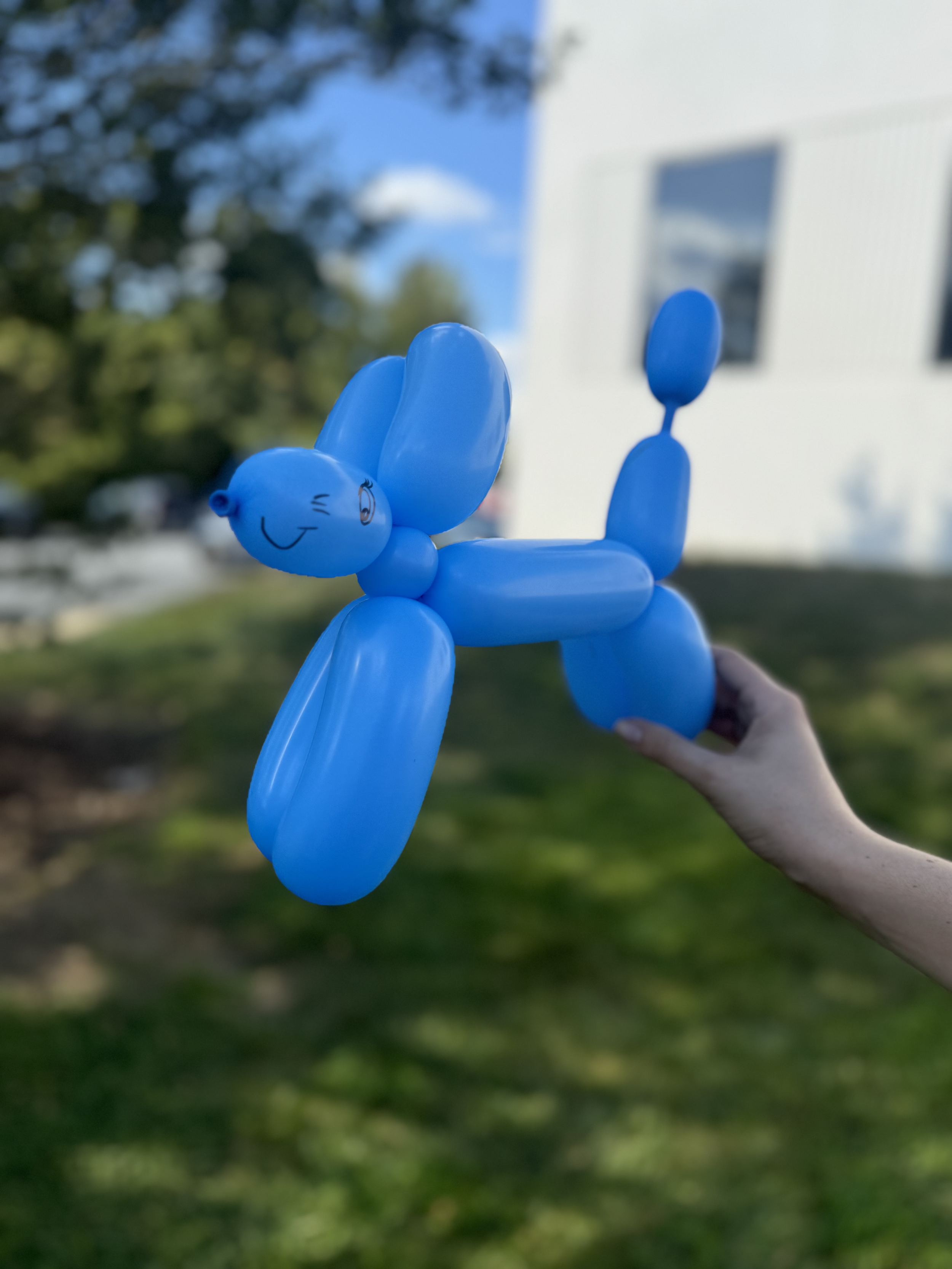 FACEPAINTING-BALLOON-TWISTING-BALLOON-DECORATION-DMV-KIDS-PARTIES-KIDS-PARTY-EVENT-PLANNER-CHARACTER (2).png