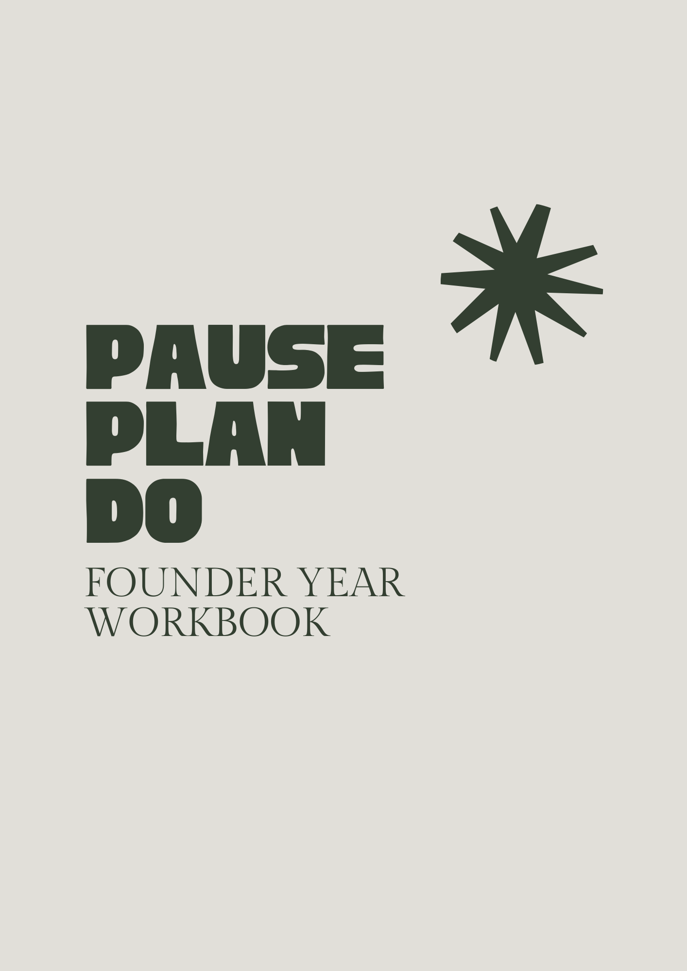 Pause • Plan • Do - Founder Year