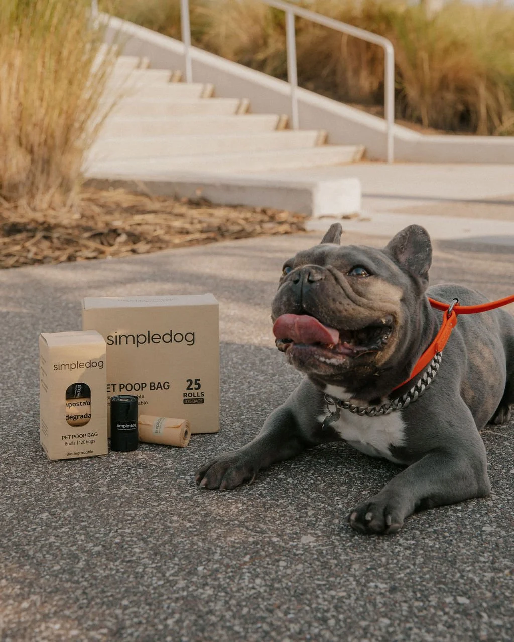 Biodegradable Pet Poop Bags 36 Rolls 540 Bags (Cream and Black