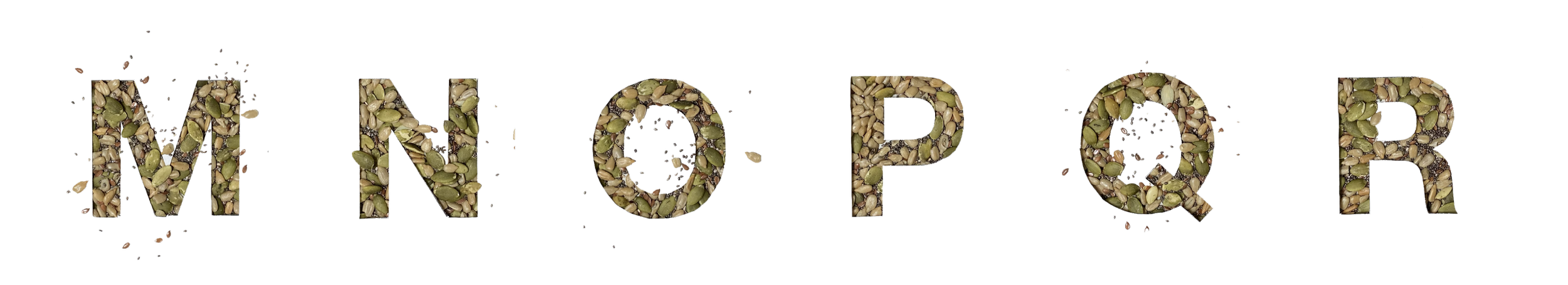 seeds in rows-07.png