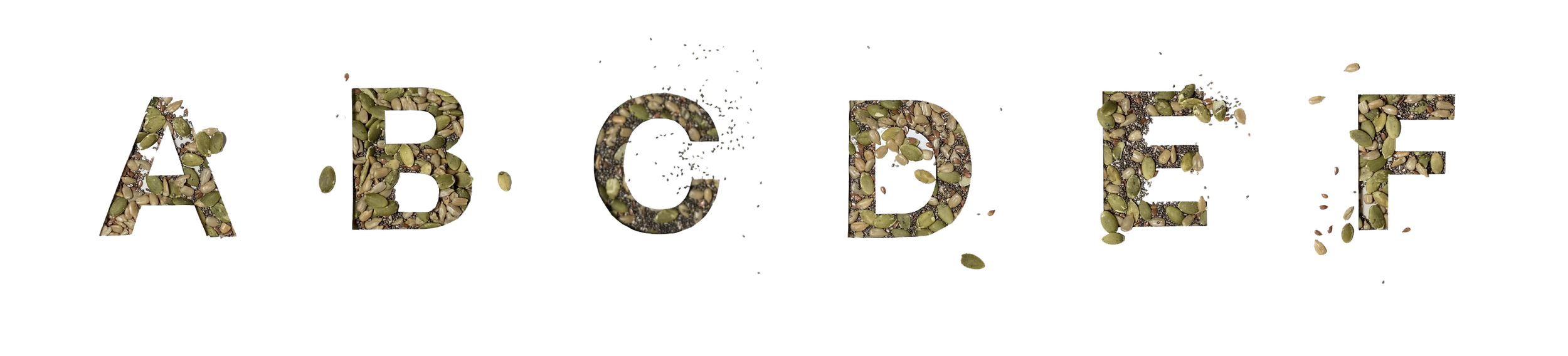 seeds in rows-01.png