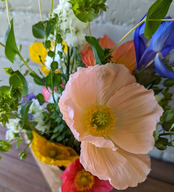 Gather and Grow: Easter Egg Hunt and Plant Sale