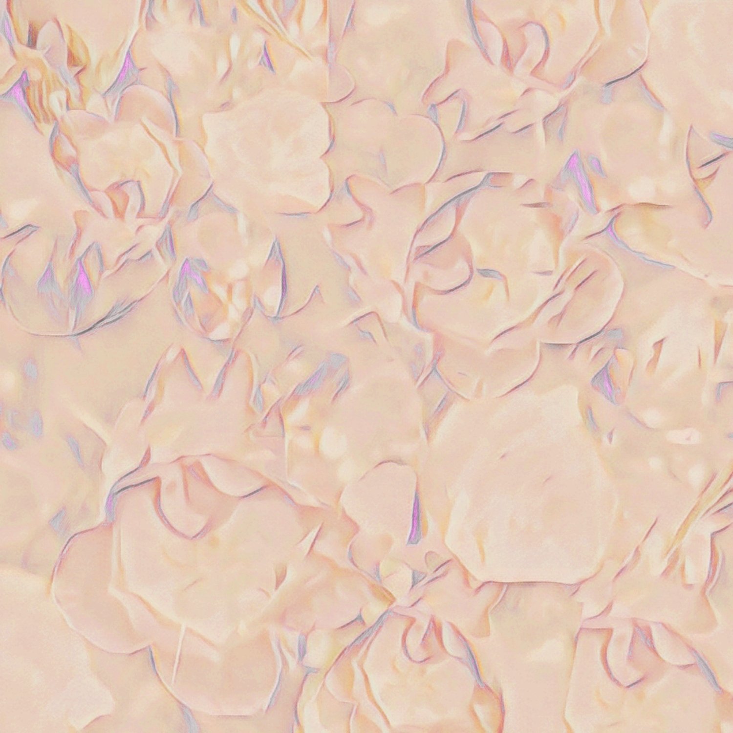 Fleur Douces in Blush