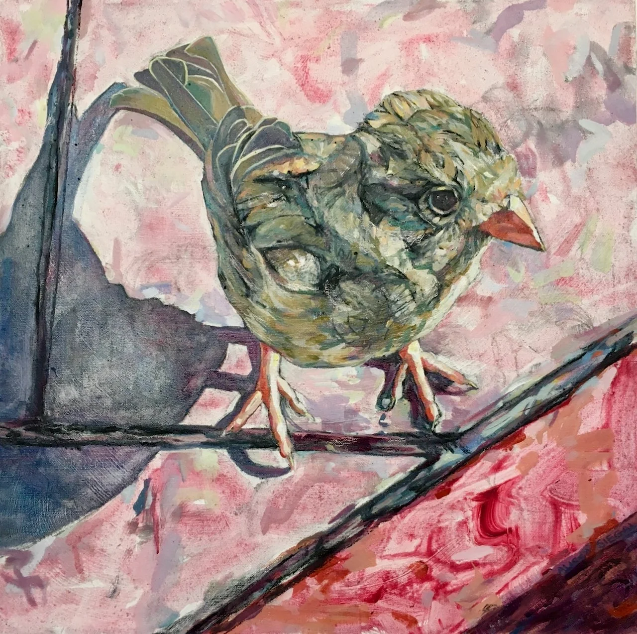 Sparrow