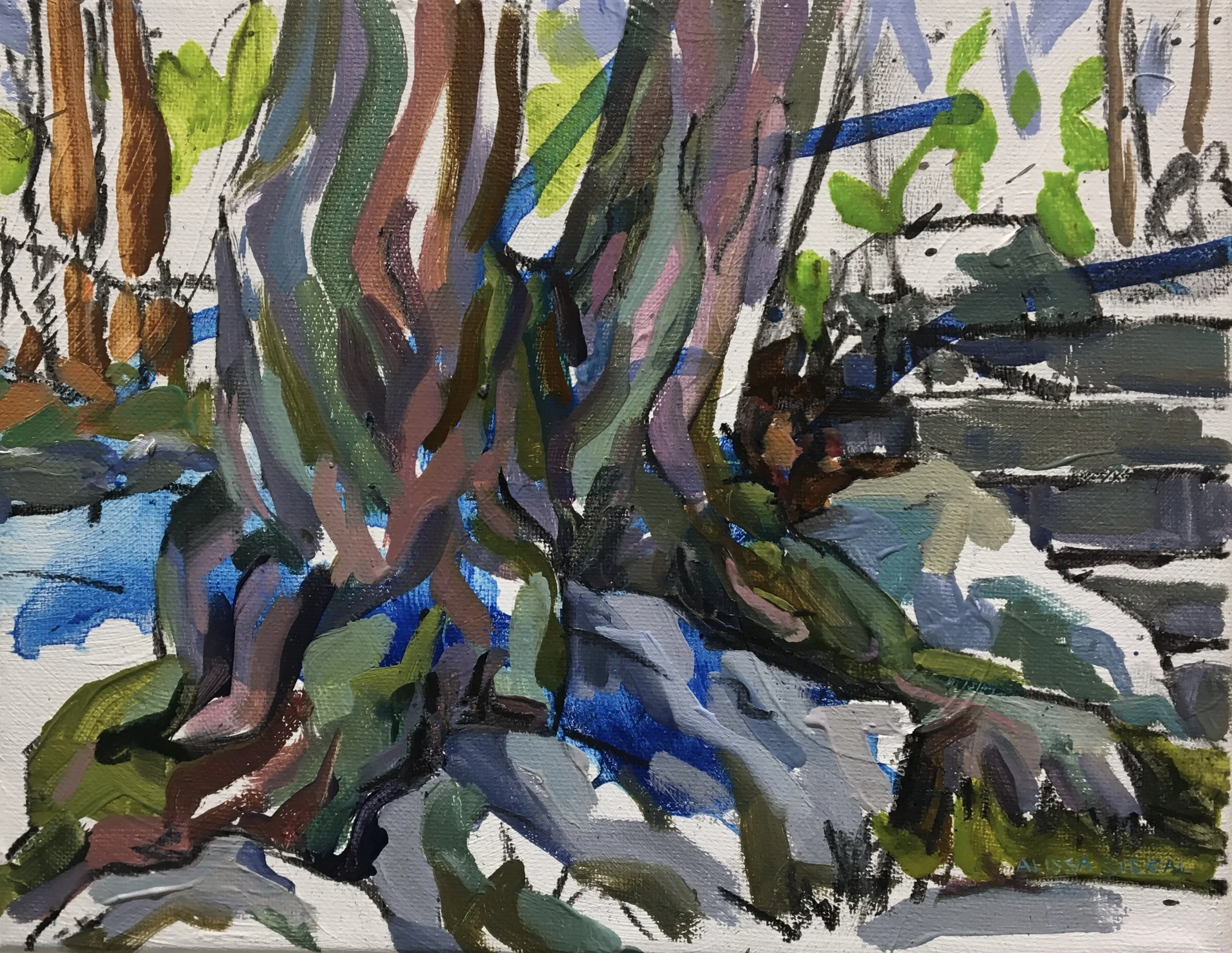 Split Tree and Stone Steps.JPG