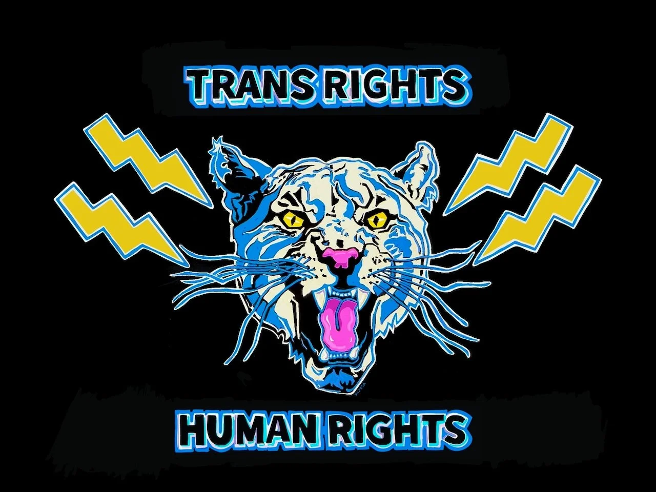 Trans Rights Human Rights