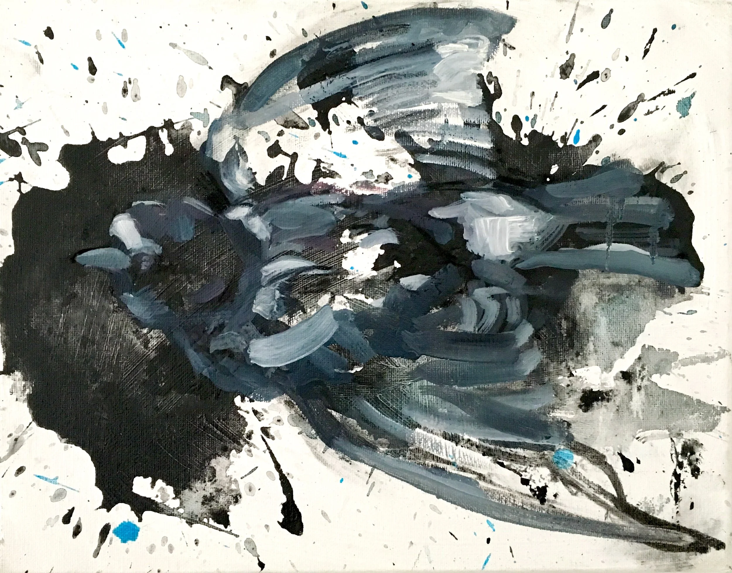 Blackbird