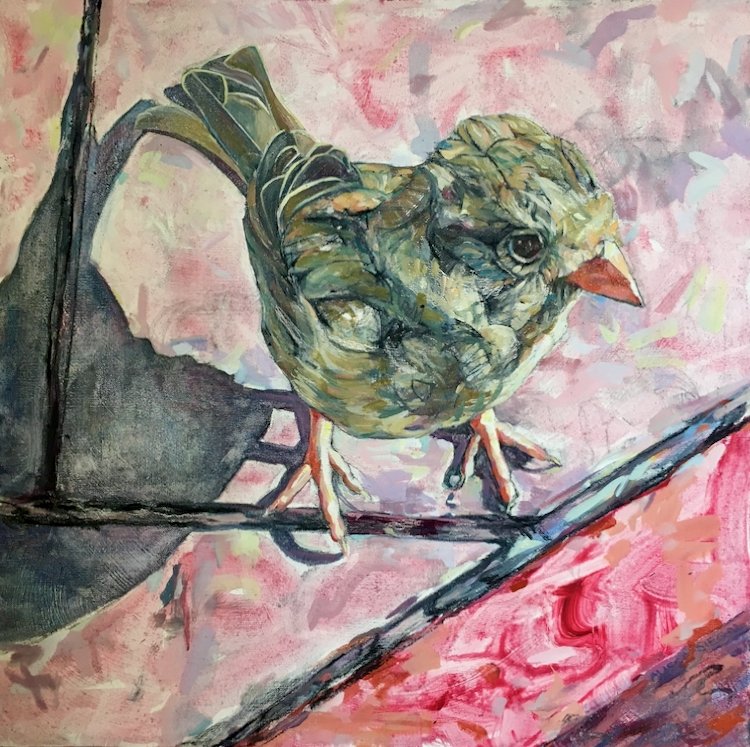 Sparrow