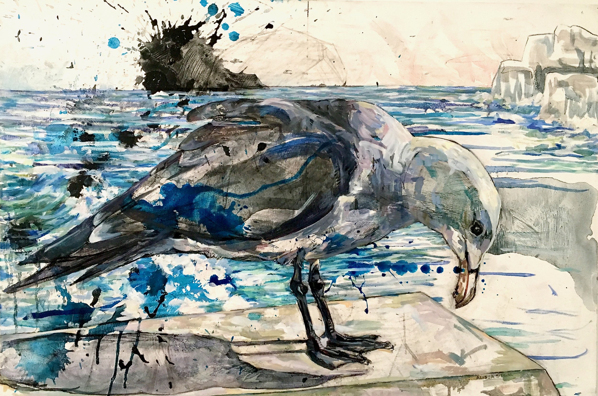 Seagull