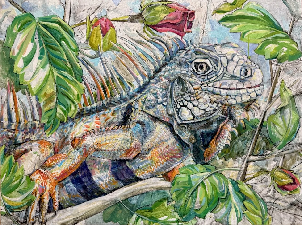 Rose Iguana