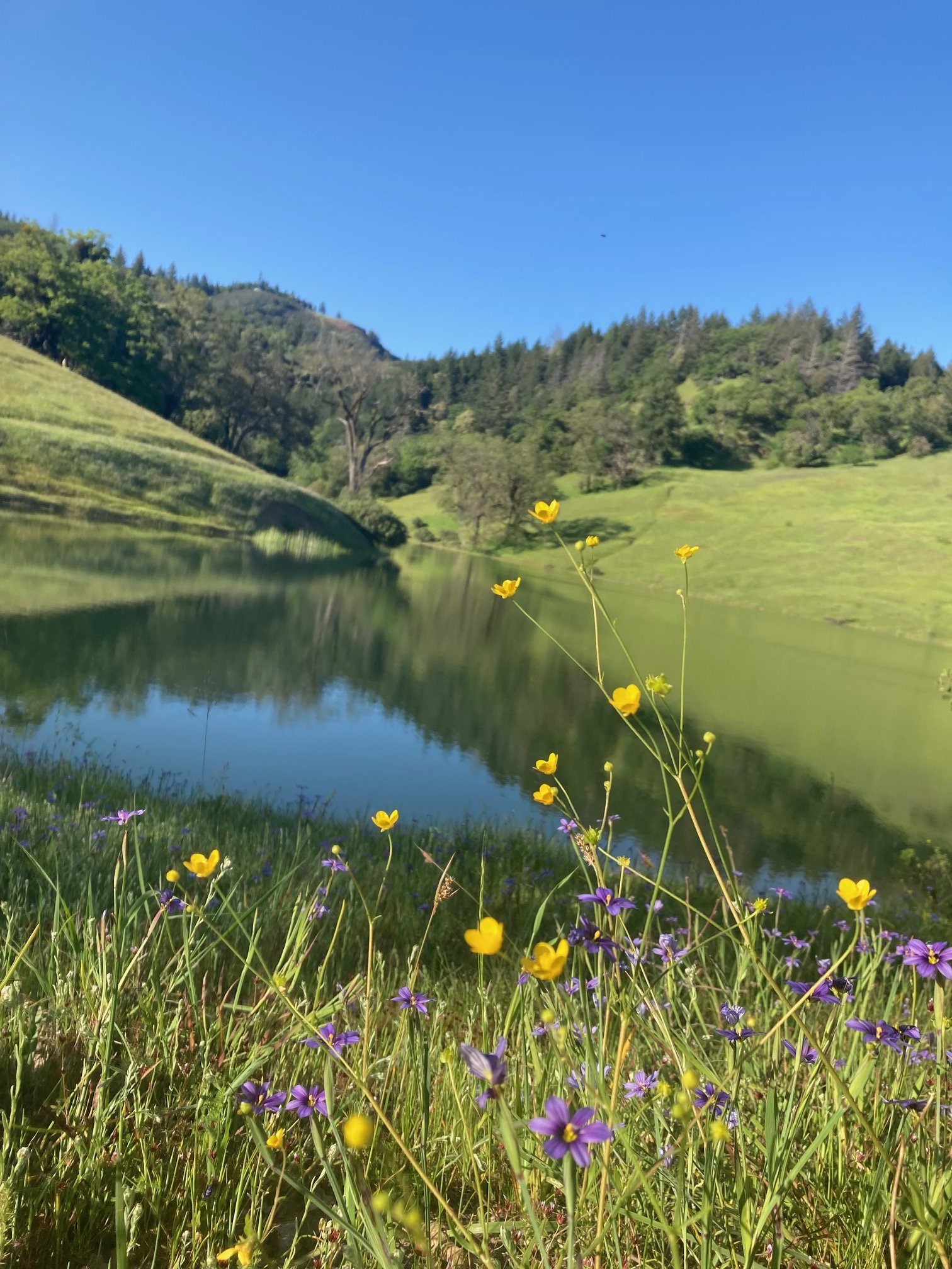 Spring Equinox Nature Hike