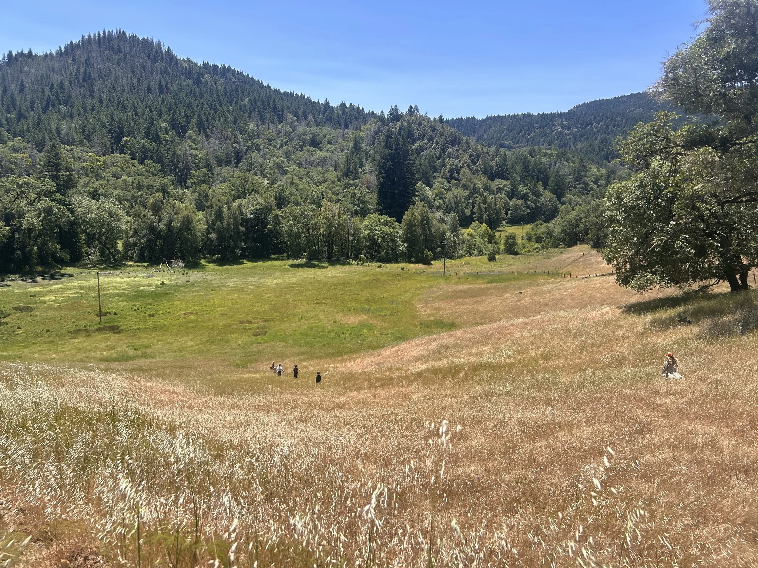 Guided Hike with Serena