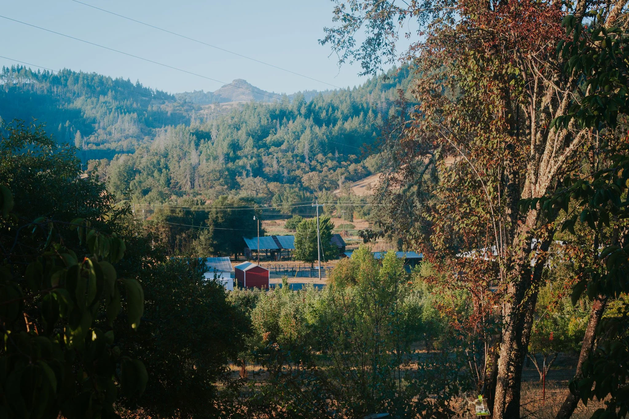 Guided Hike with Serena