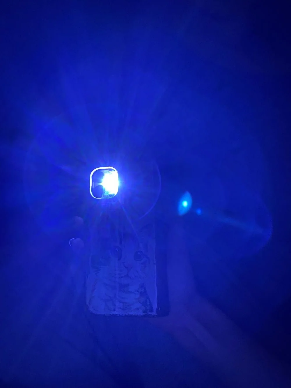 Creating a blacklight