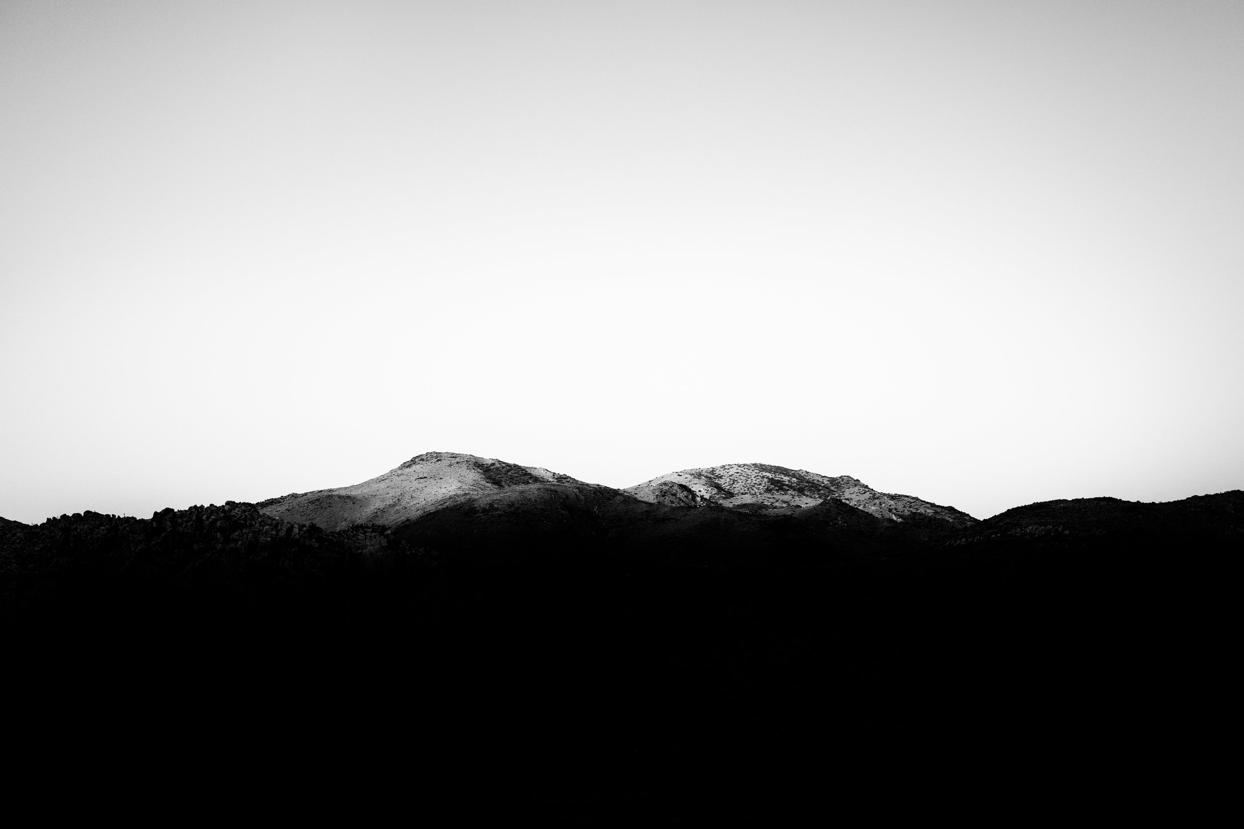 2024_JT-0582_retouche.jpg