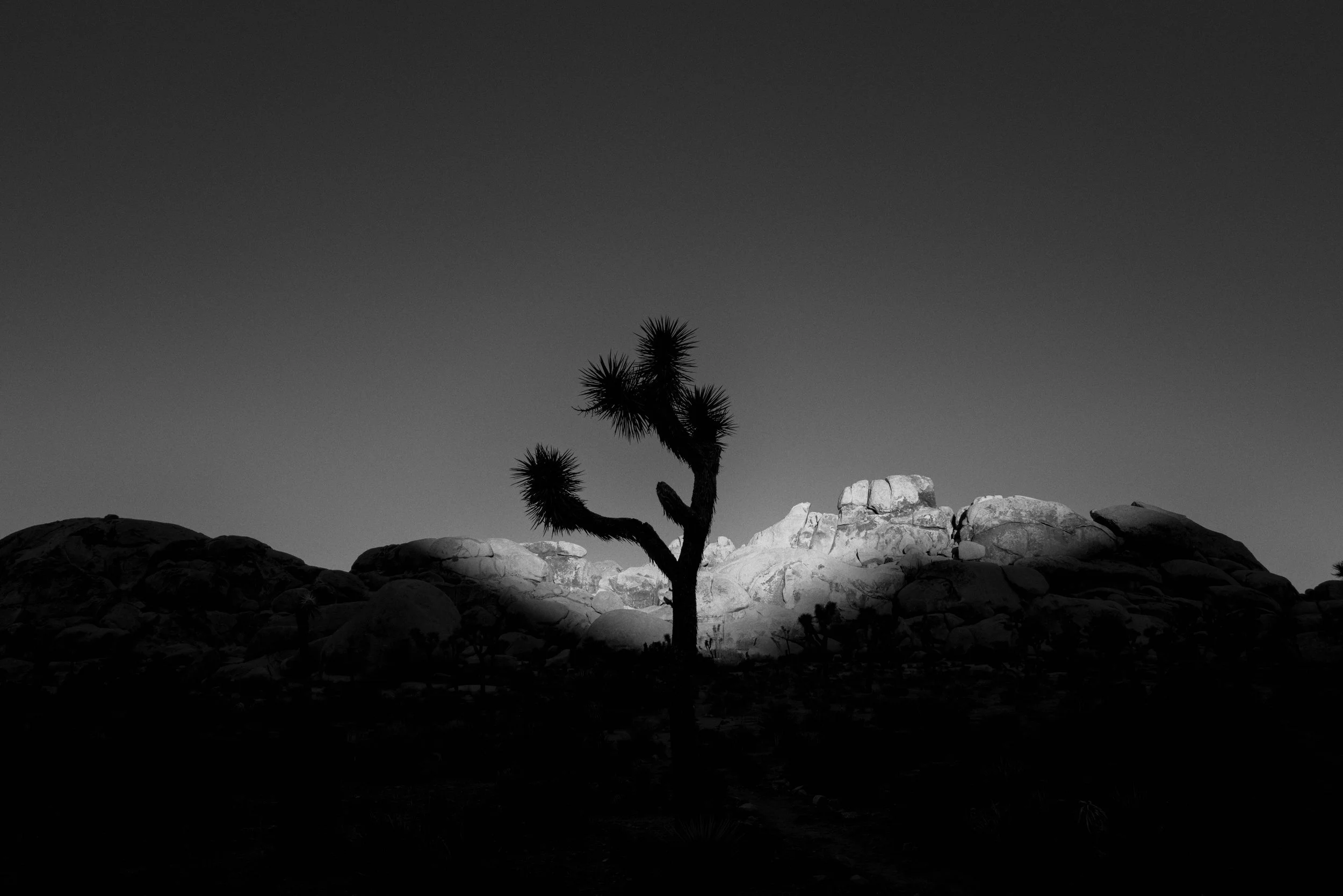 Rockscape #013