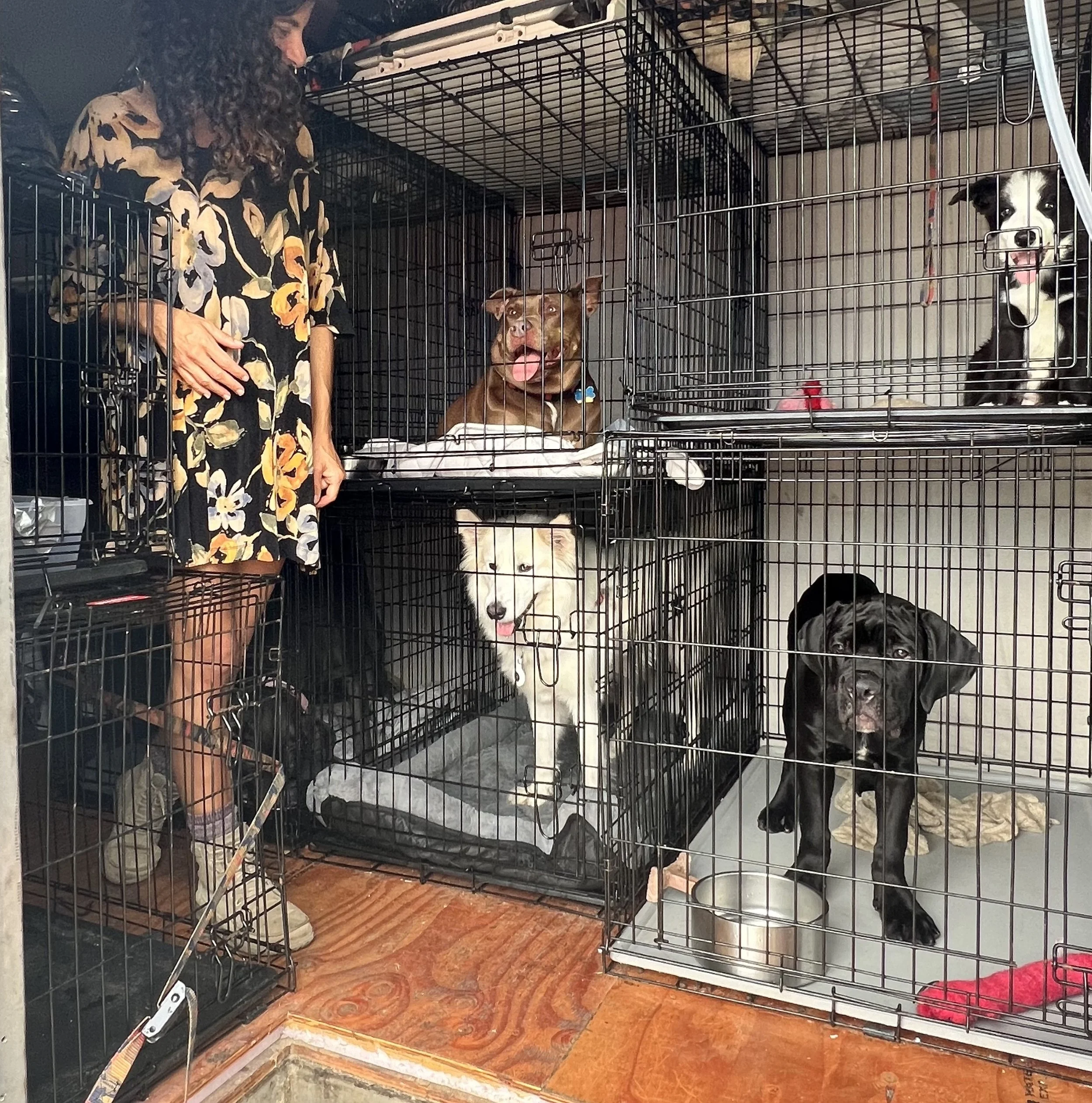 Lali inside the Care-a-Van with a pet