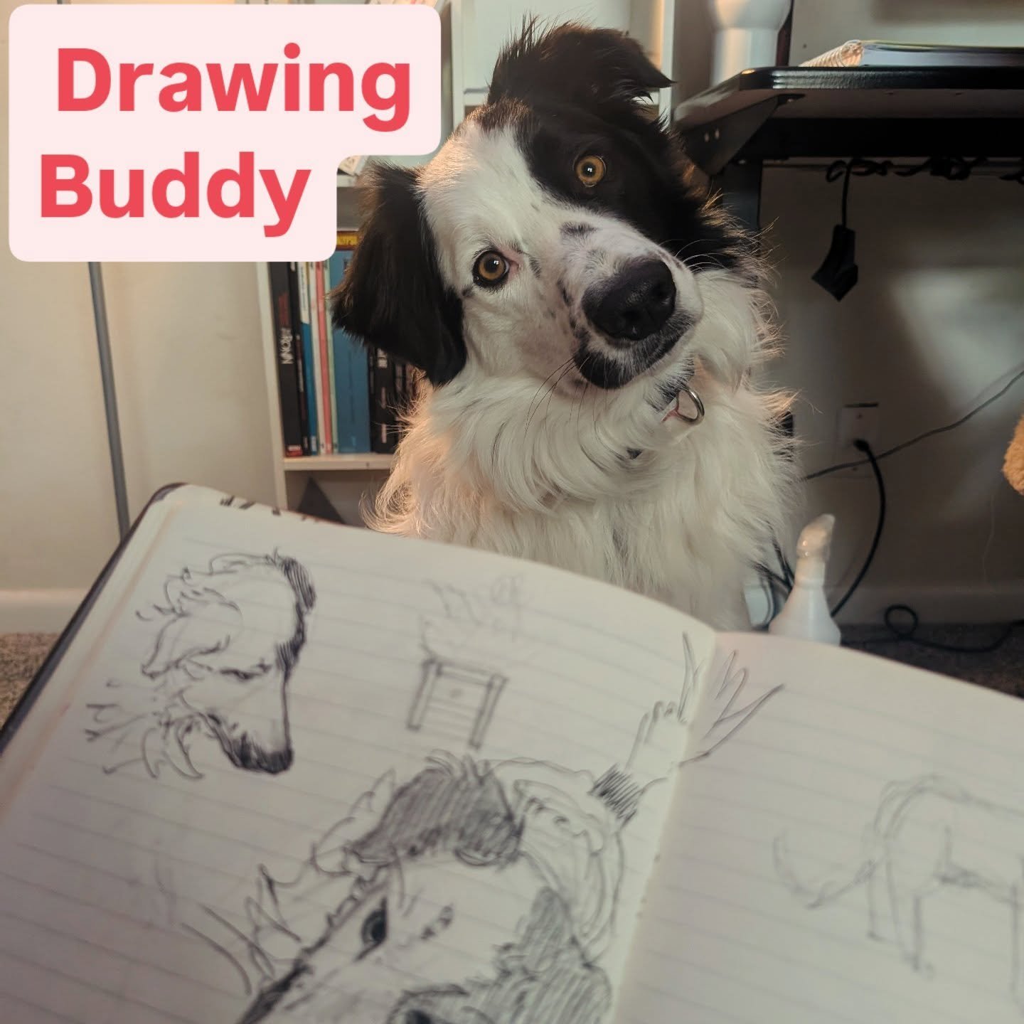 Unpaid intern? Aspiring Muse? Or freelancing company mascot? Kal has had to step up recently with my business partner on the other side of the country. 

#webcomics #workpet #boottackstudio #indiecreators #cutedogs