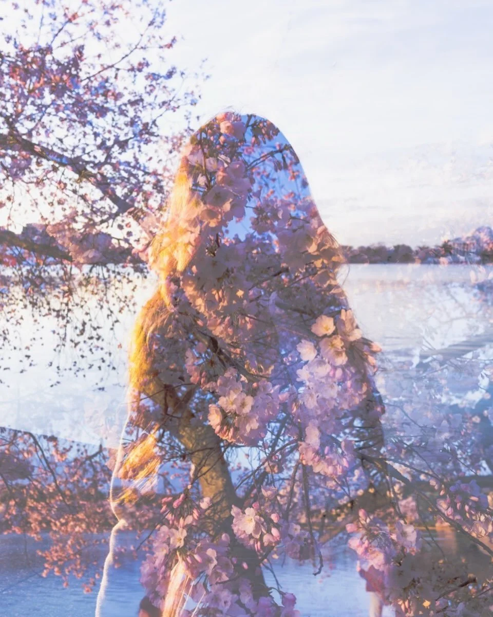 Hold tight, spring is coming. 
#doubleexposure
#cherryblossoms 
#ERAIII

Thank you @bh.creators for the community you have welcomed me into
#bhcreators