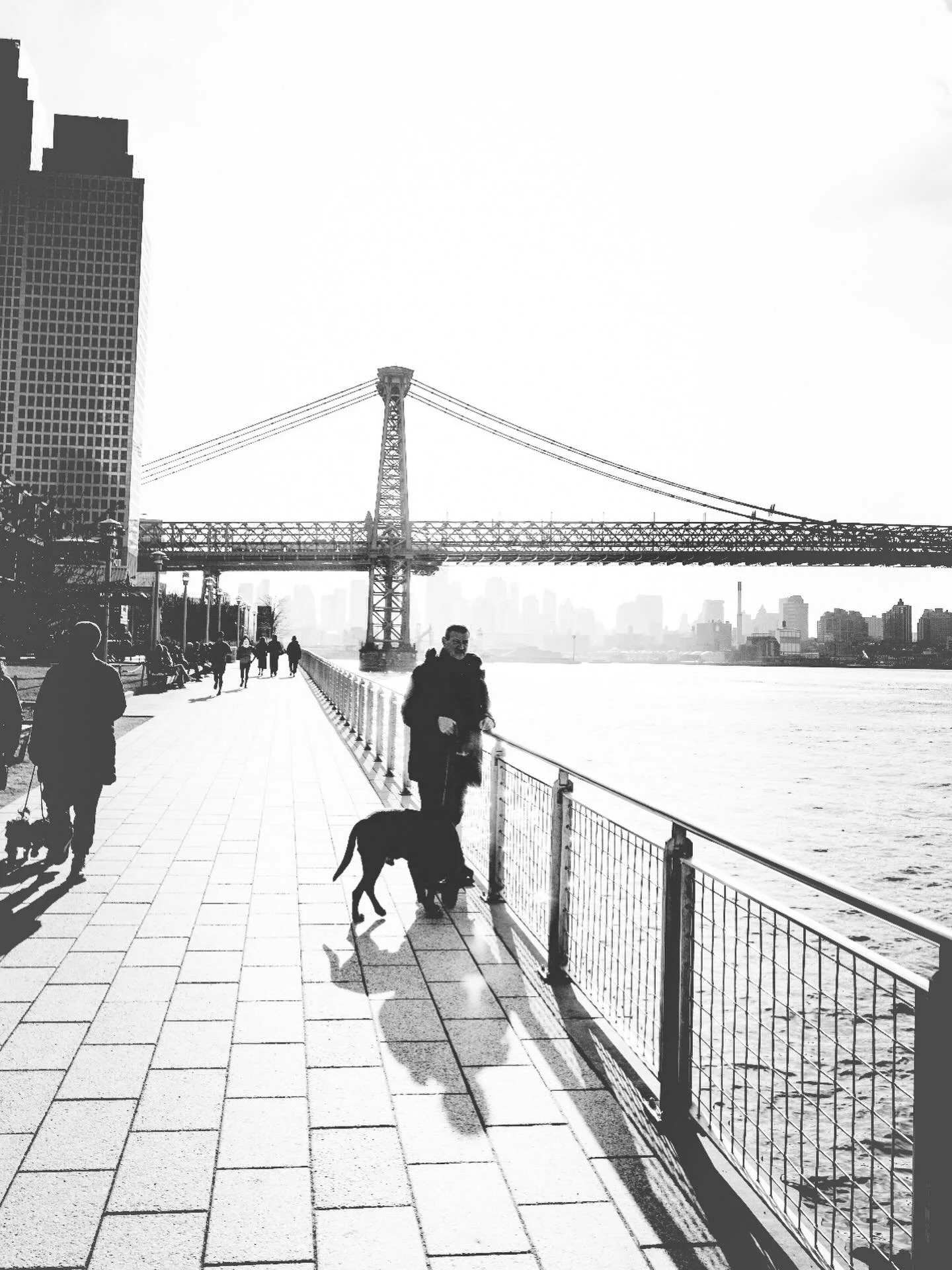 gloomy days just make the good ones great 
#dominopark #williamsburgbridge