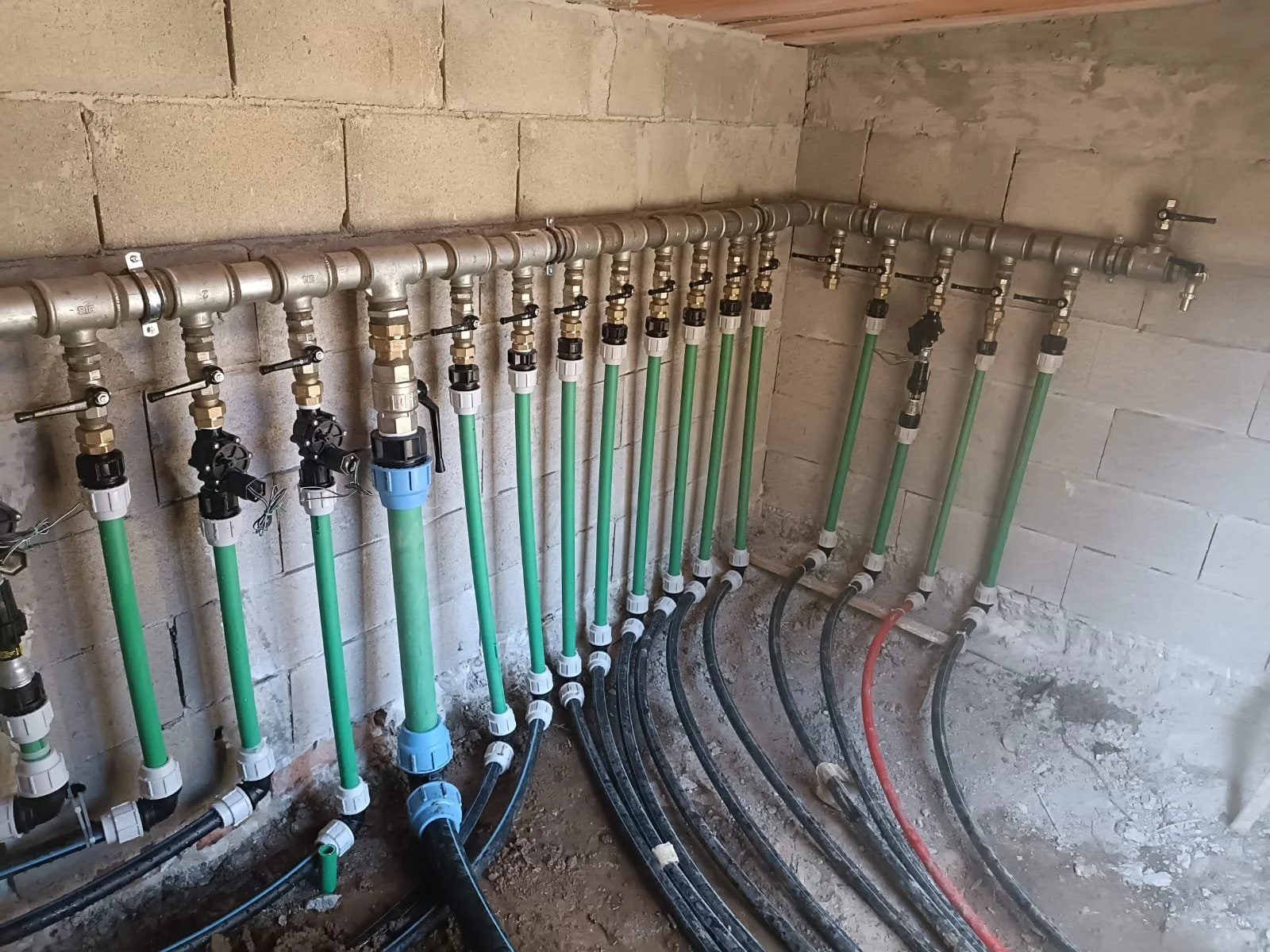 WhatsApp Image 2025-01-27 at 21.15.22.jpeg