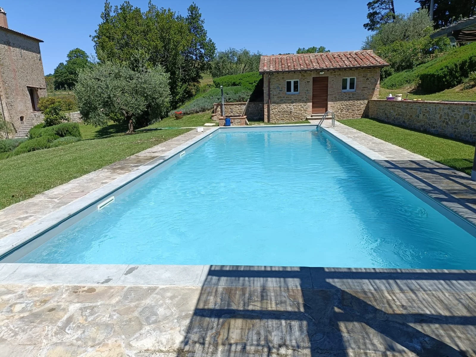 WhatsApp Image 2025-01-27 at 21.33.56.jpeg