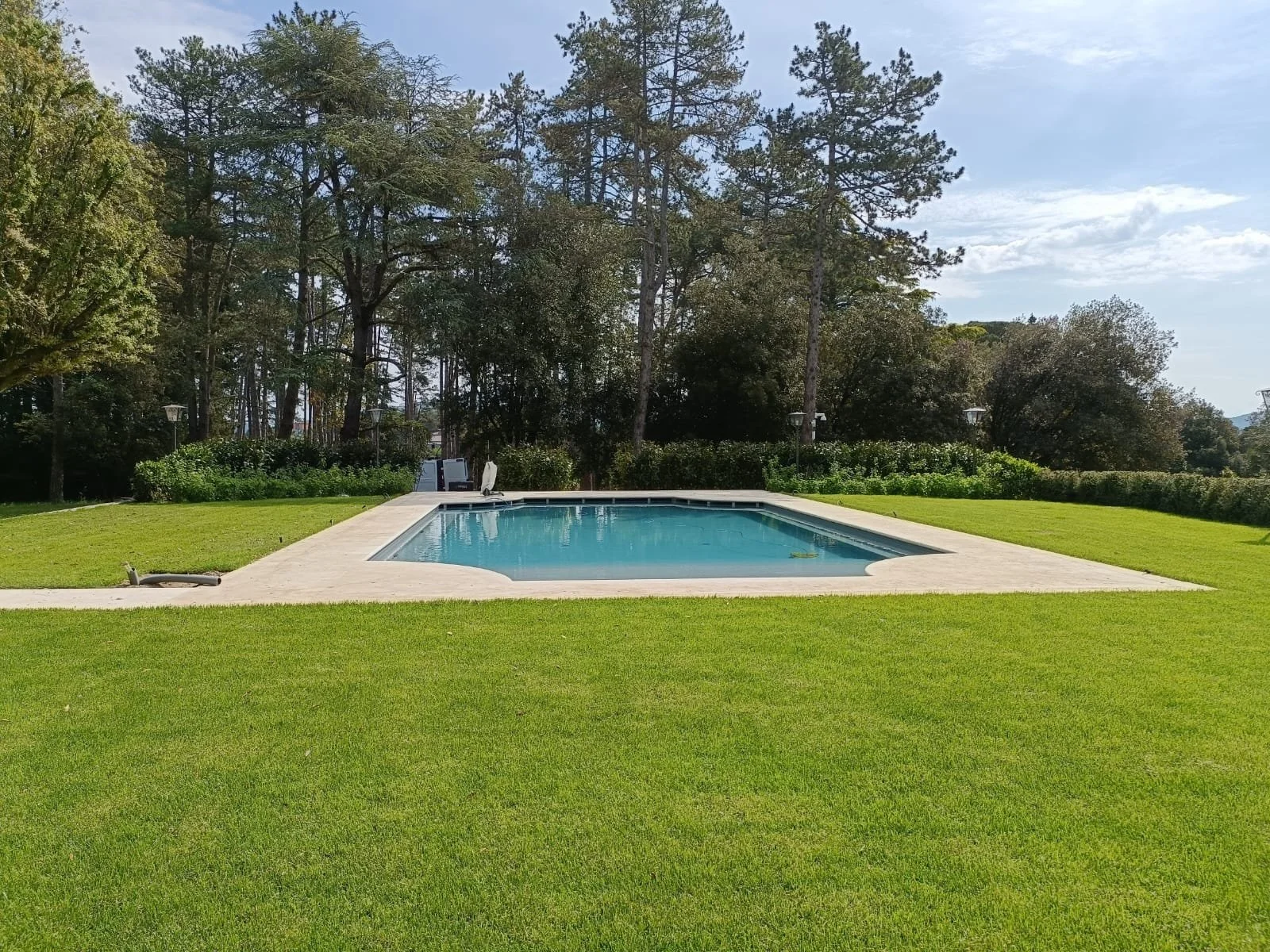 WhatsApp Image 2025-01-27 at 21.35.03.jpeg