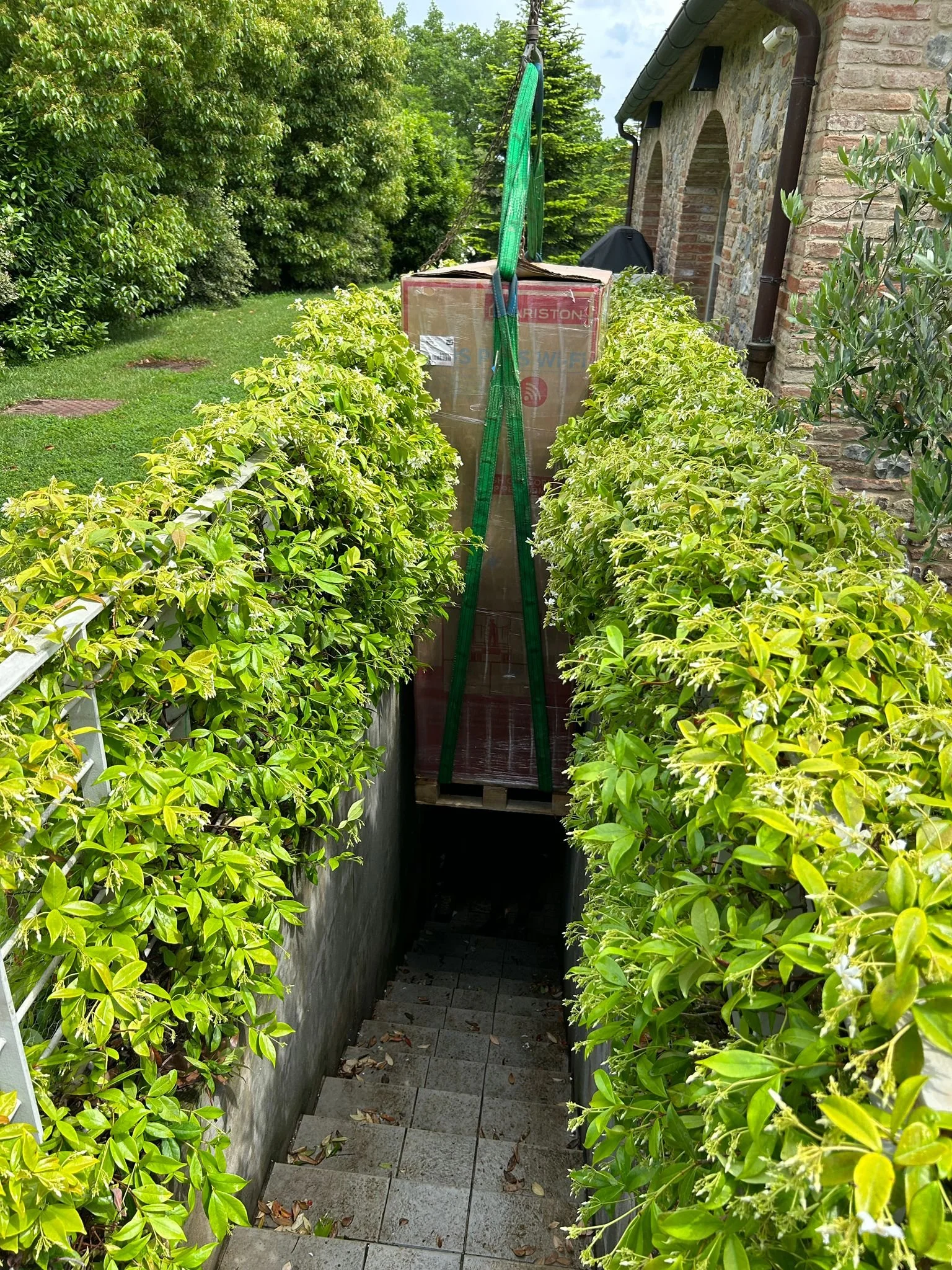 WhatsApp Image 2025-01-27 at 20.14.44.jpeg