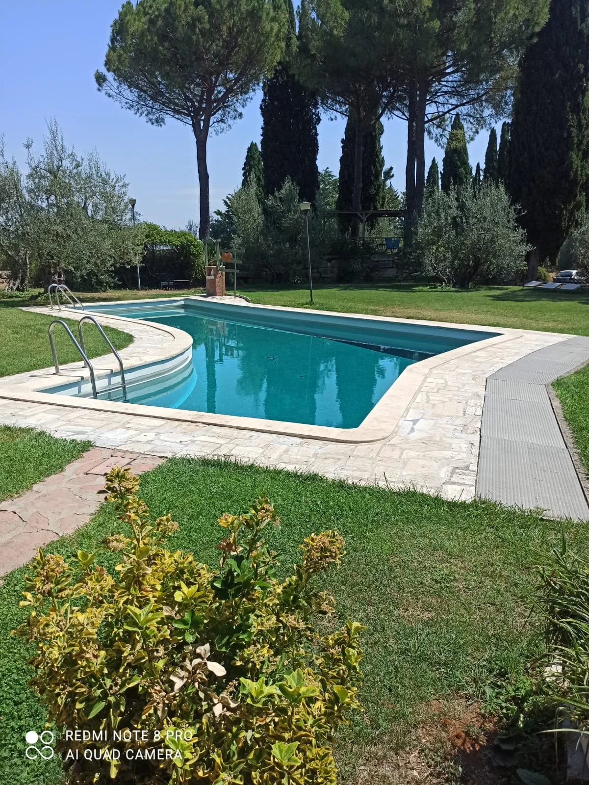 WhatsApp Image 2025-01-27 at 19.20.35.jpeg