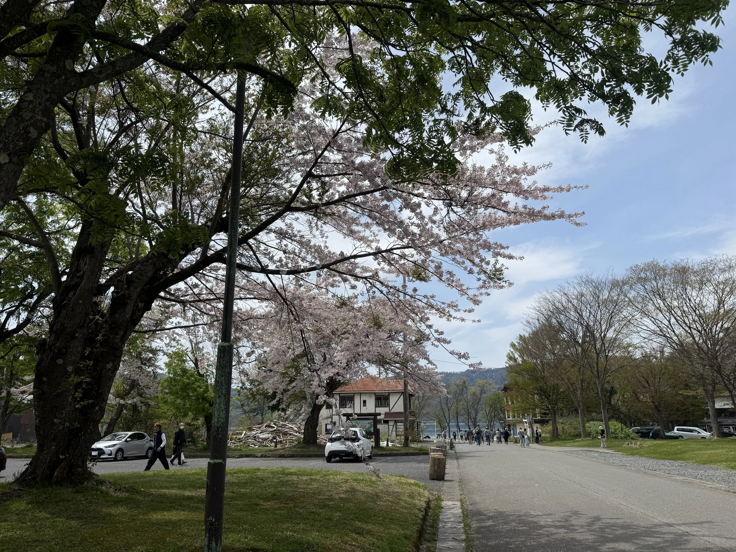 IMG_2094.jpeg