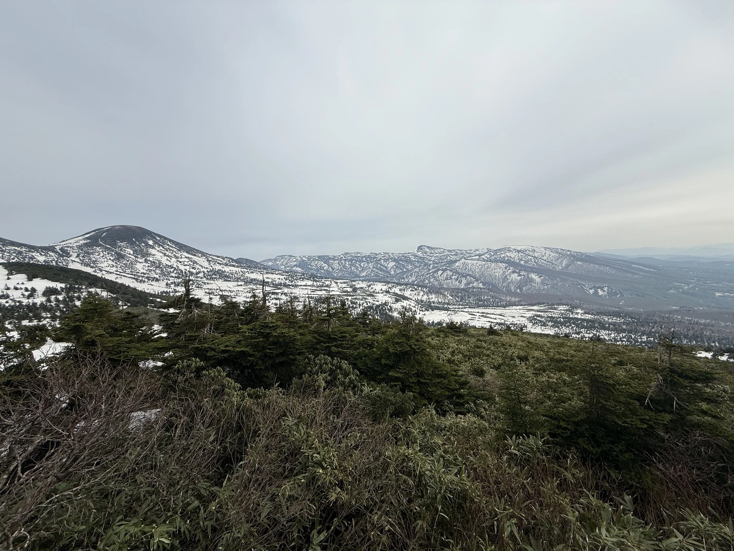 IMG_2185.jpeg