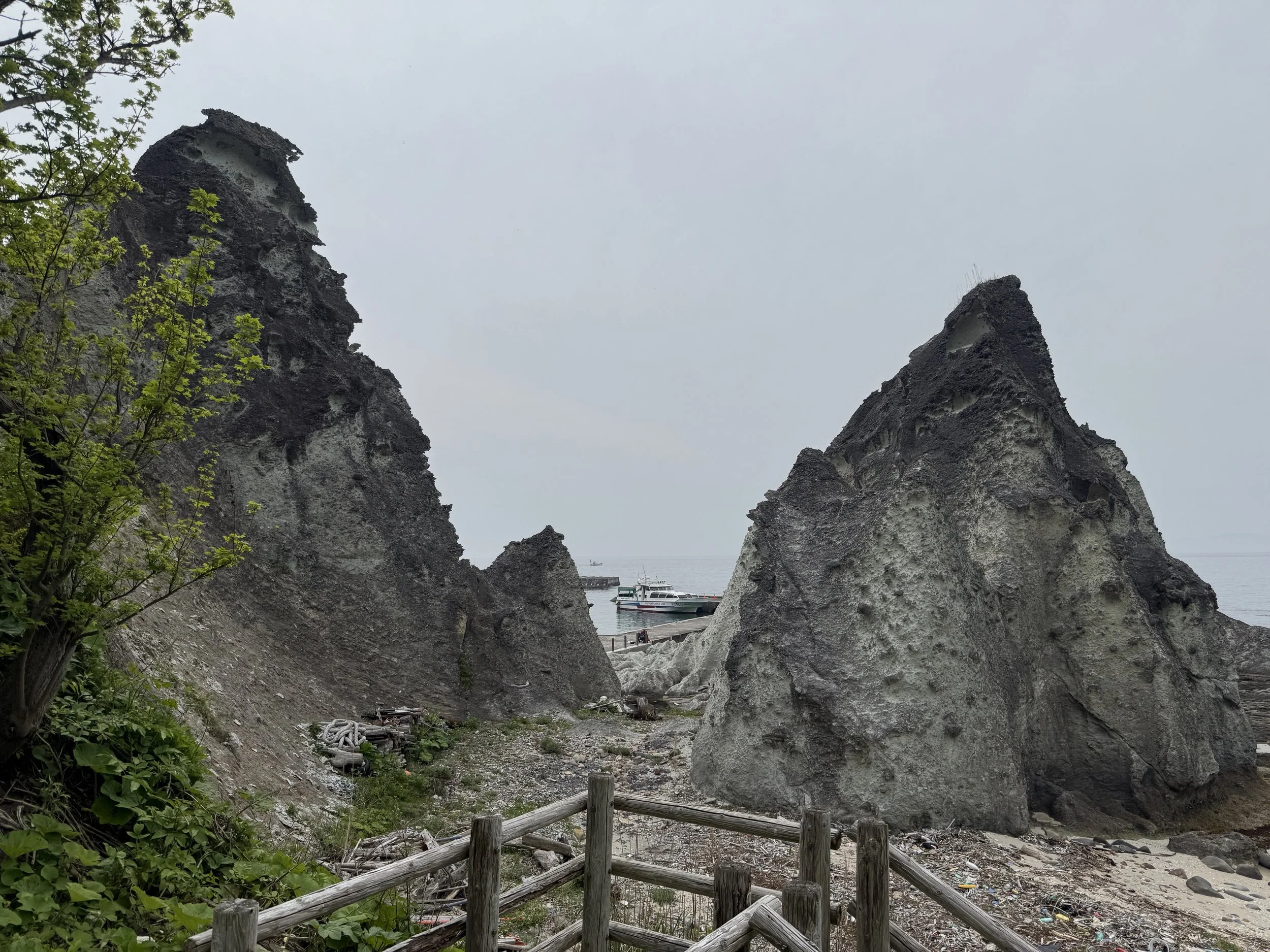 IMG_2267.jpeg