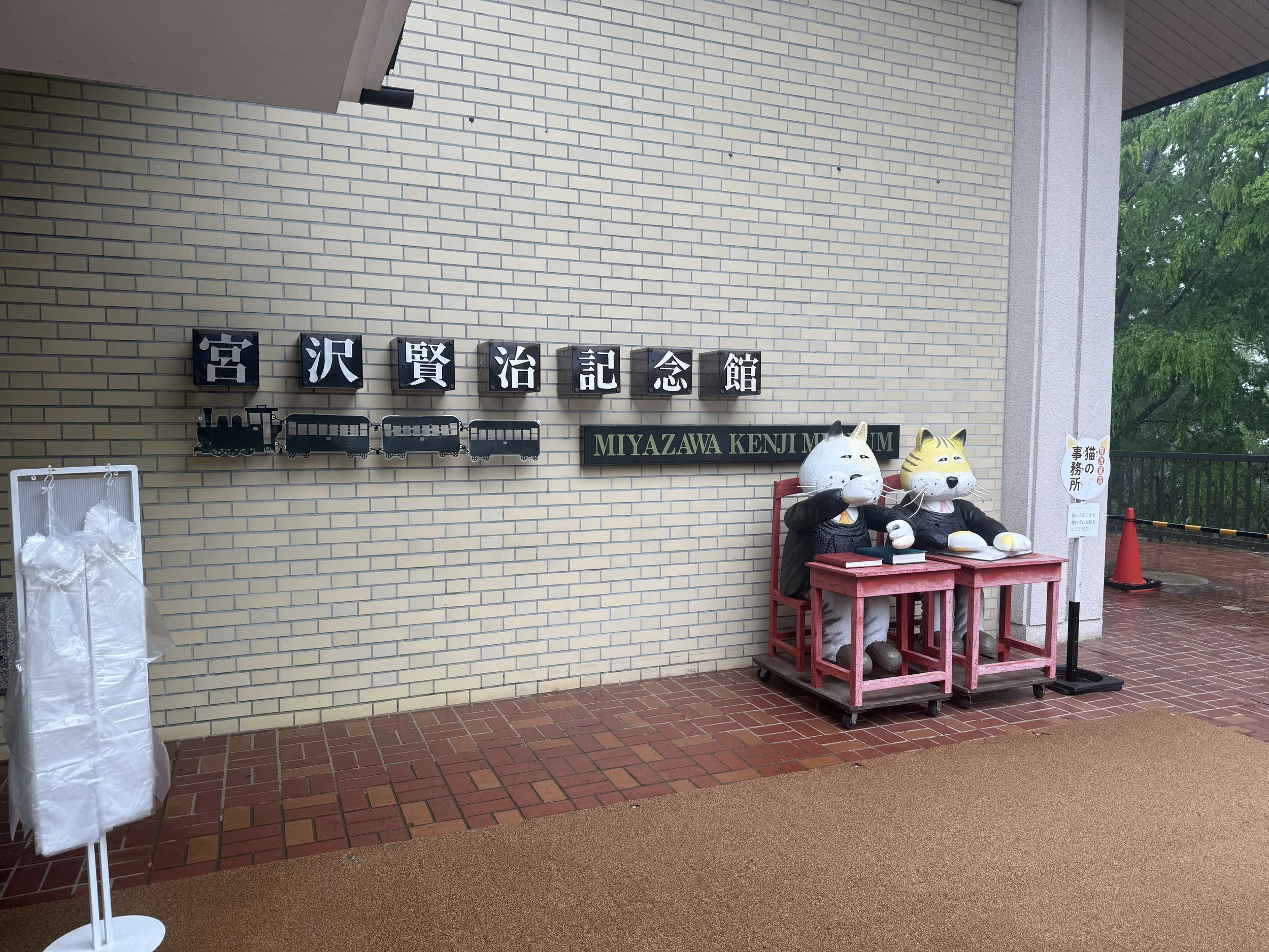 IMG_2512.jpeg