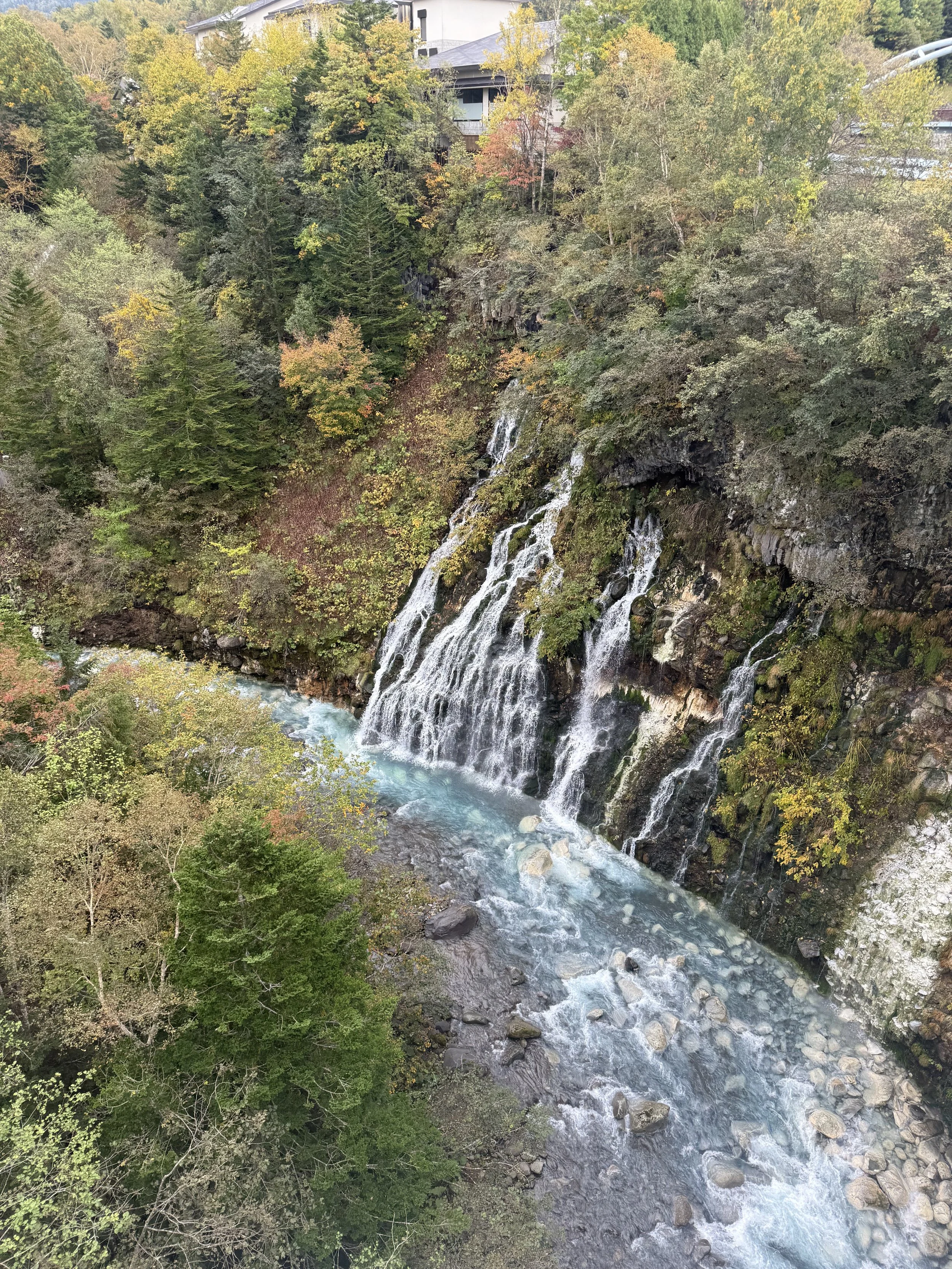 IMG_6008.jpeg