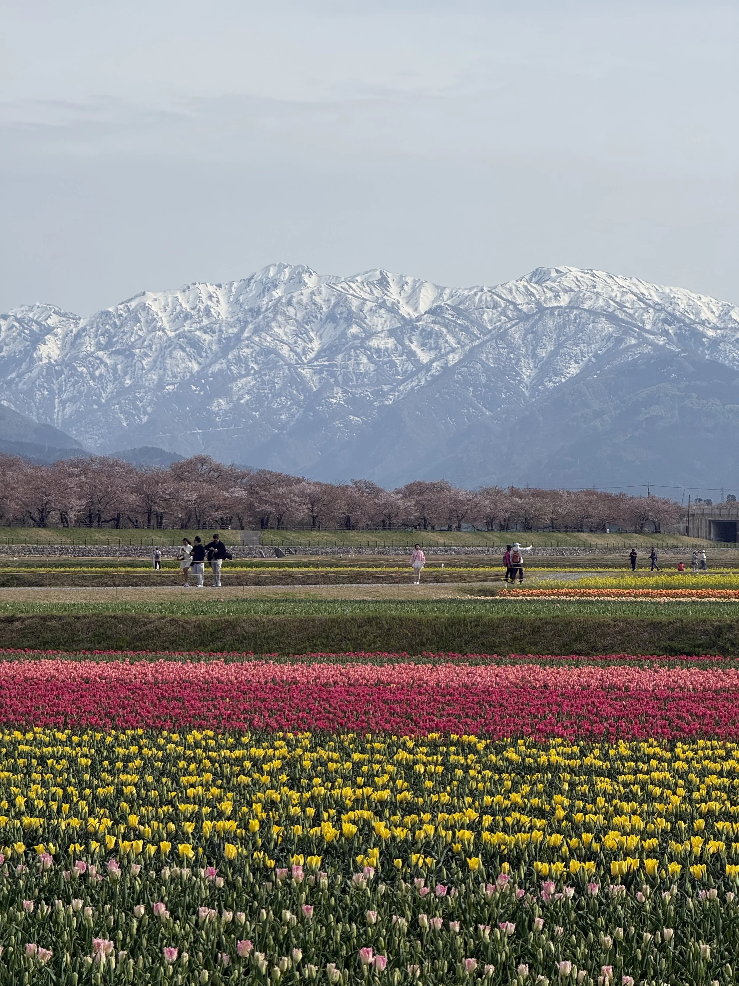 Hokuriku - April 2026