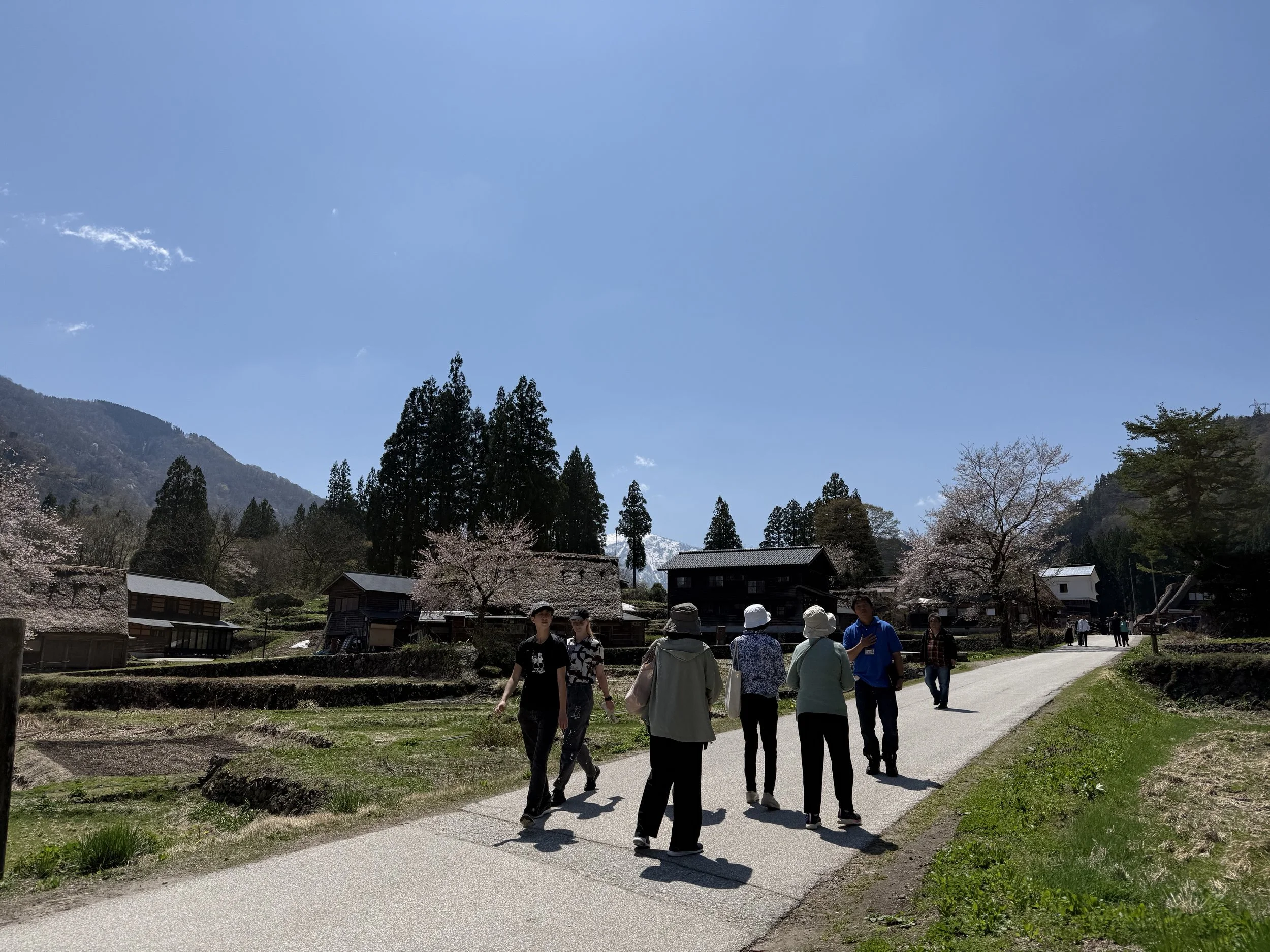 IMG_1085.jpeg