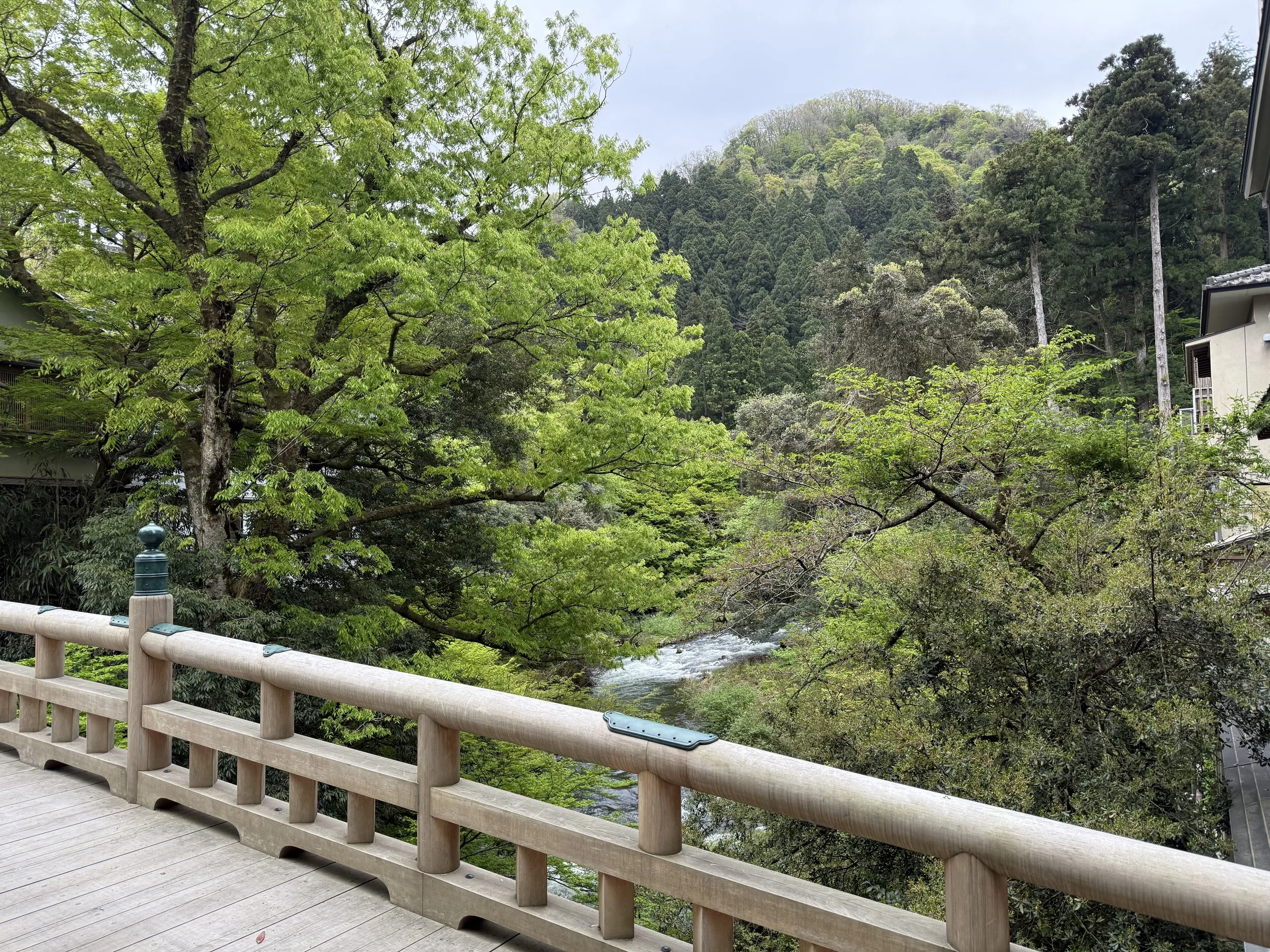 IMG_1287.jpeg