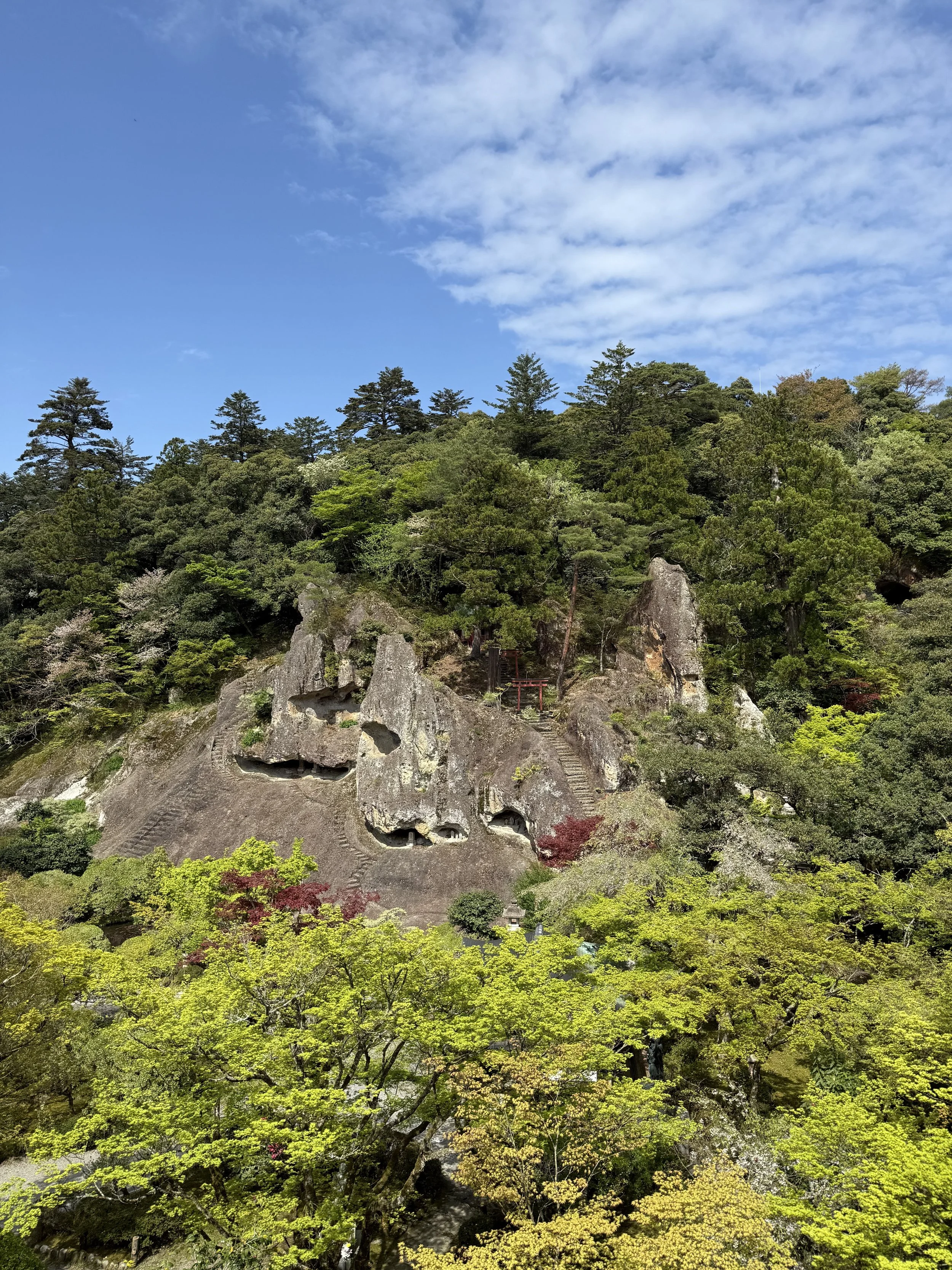 IMG_1360.jpeg